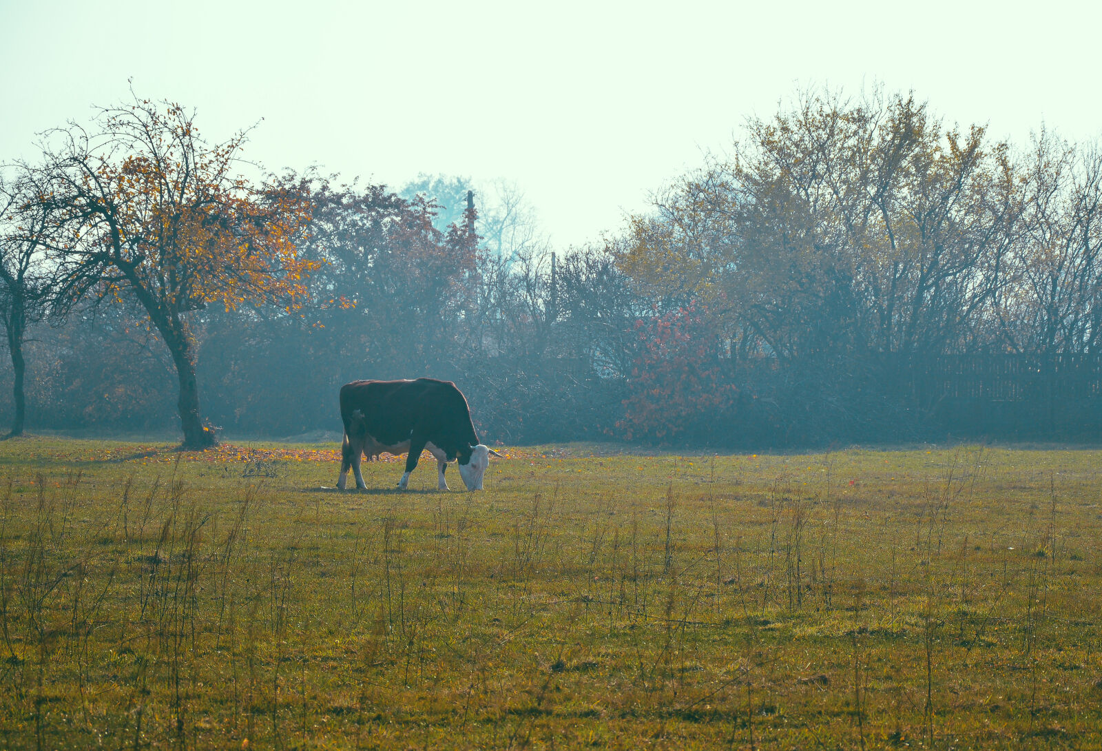 Nikon D3200 sample photo