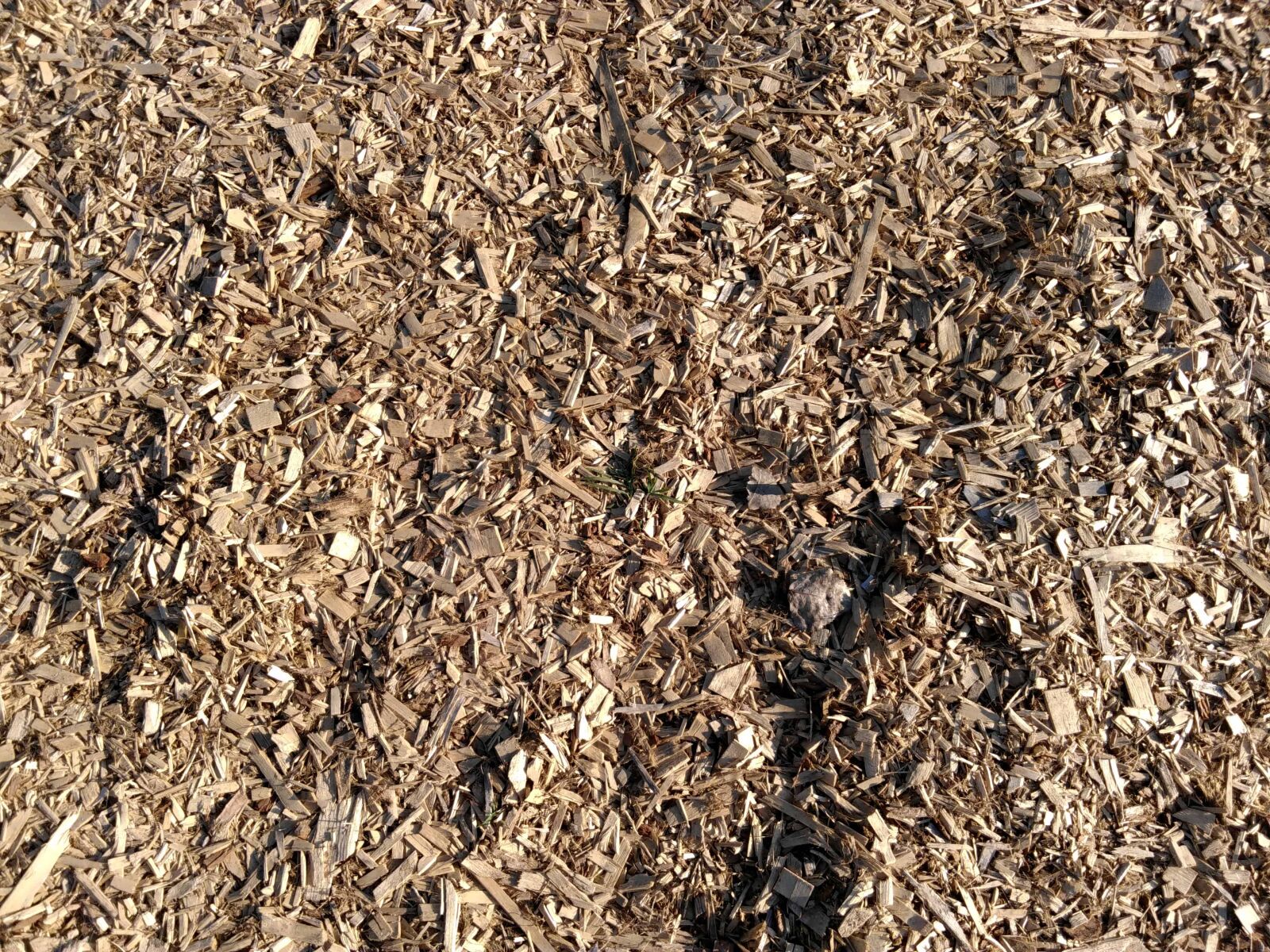 Lenovo S60-A sample photo. Compost, texture, dry, pattern photography
