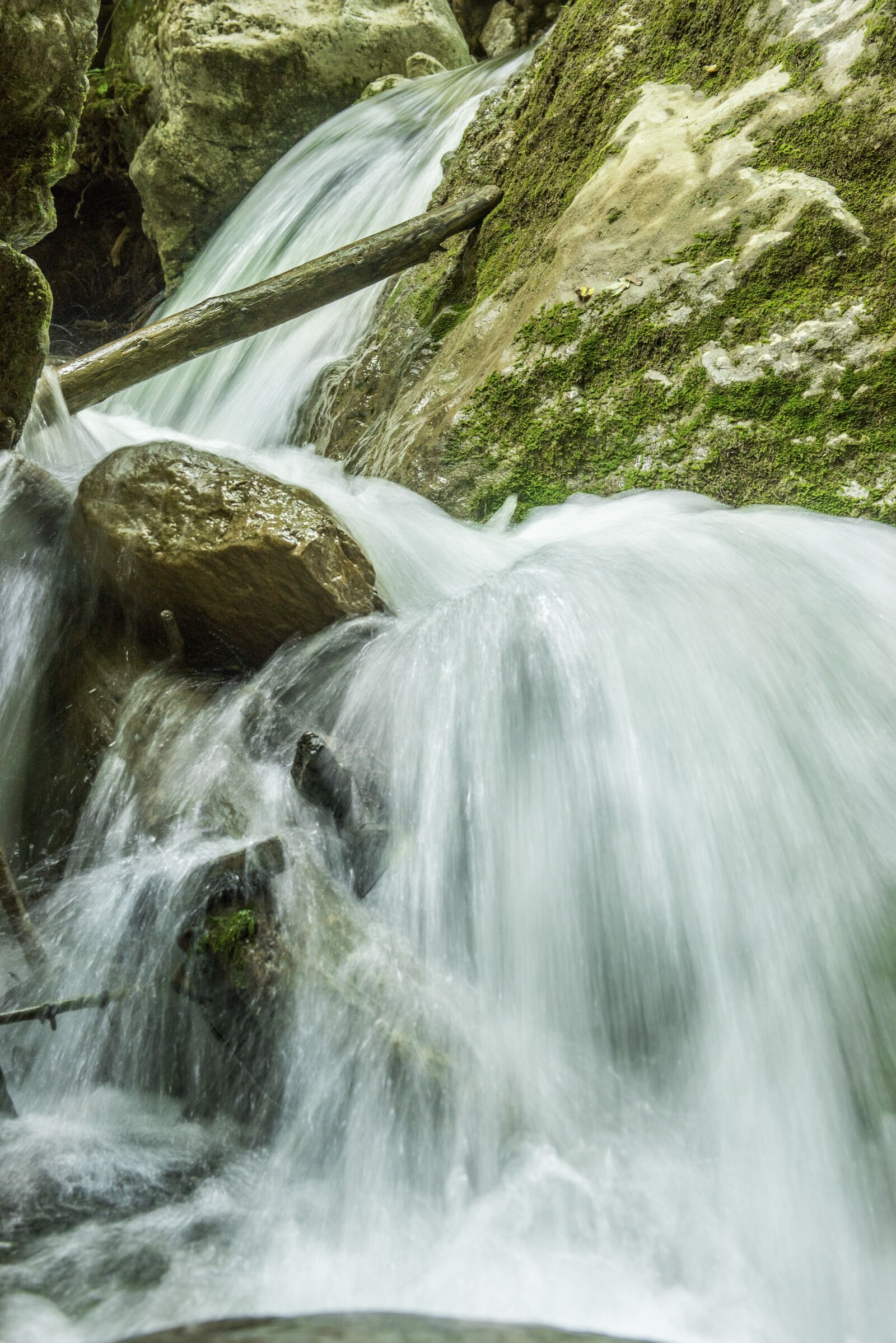 Nikon D750 sample photo. Waterfall bear protective gorge photography