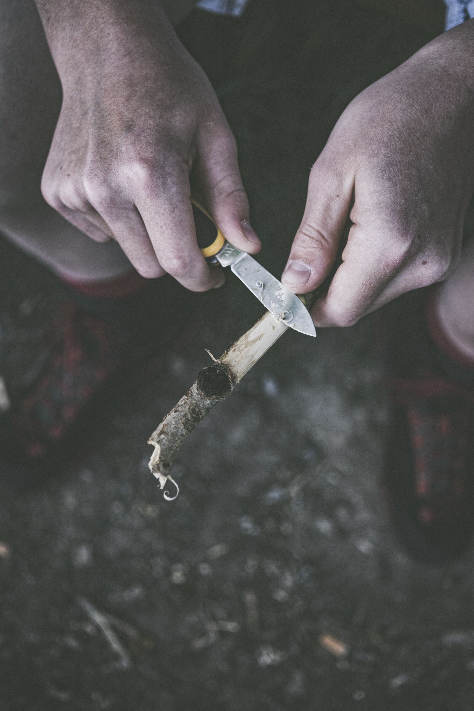 Sony a6300 + Sigma 30mm F2.8 EX DN sample photo. Carve, rustic, carving photography