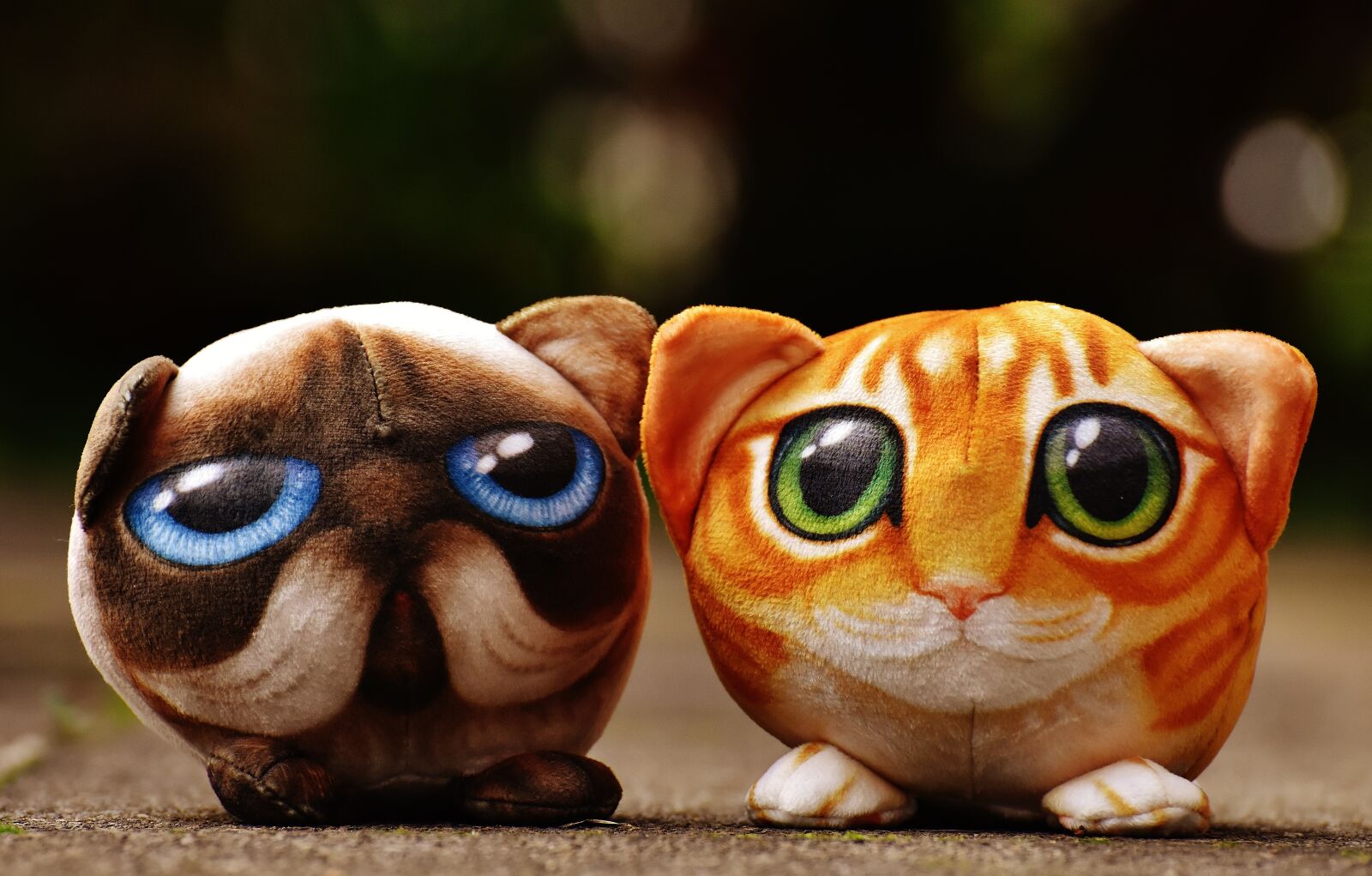 Nikon D7200 sample photo. Cat, stuffed animals, cute photography