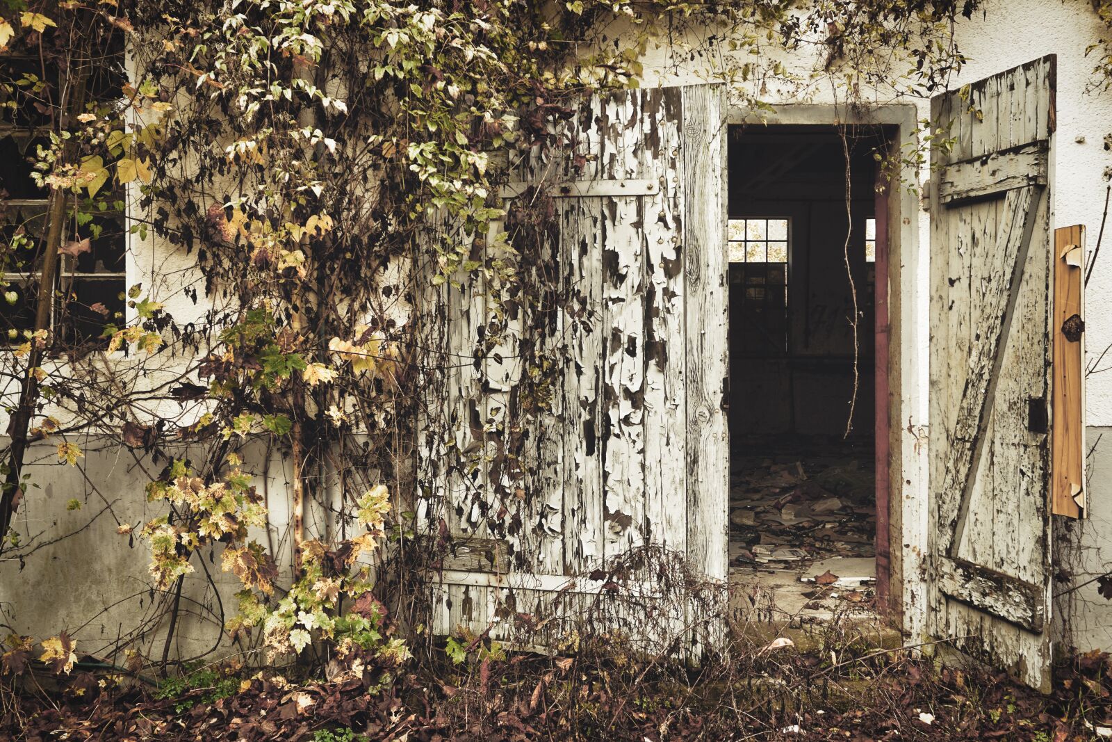 Sony a6500 sample photo. Ruin, factory, hall photography
