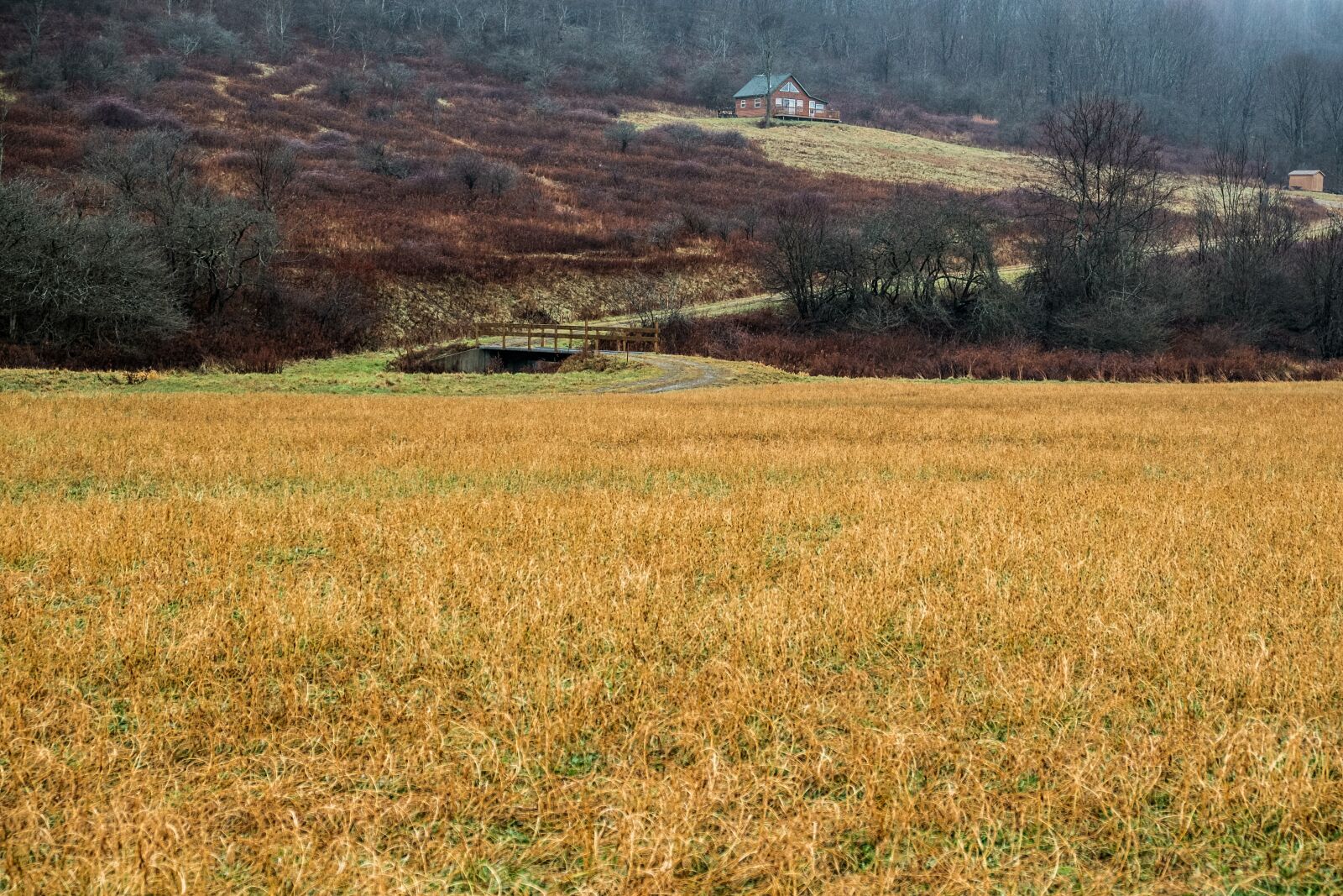 Fujifilm X-E1 sample photo. Field, landscape, rural photography