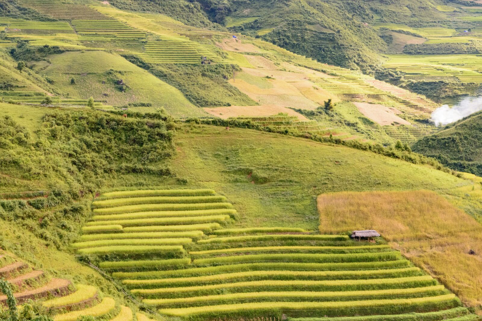 Nikon D7100 sample photo. Terraces, cooked rice, sunset photography