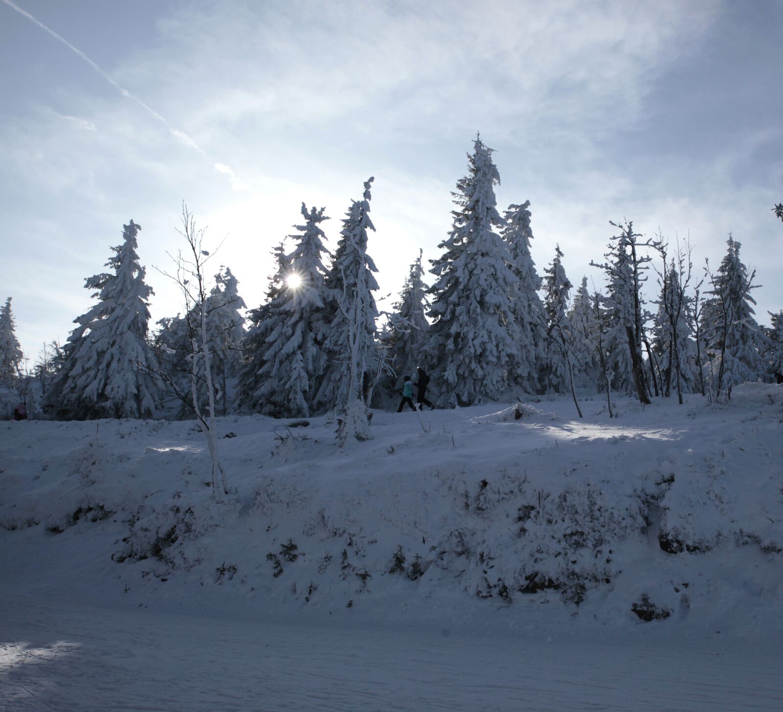 Canon EOS 5D Mark II sample photo. Winter, runners, in photography