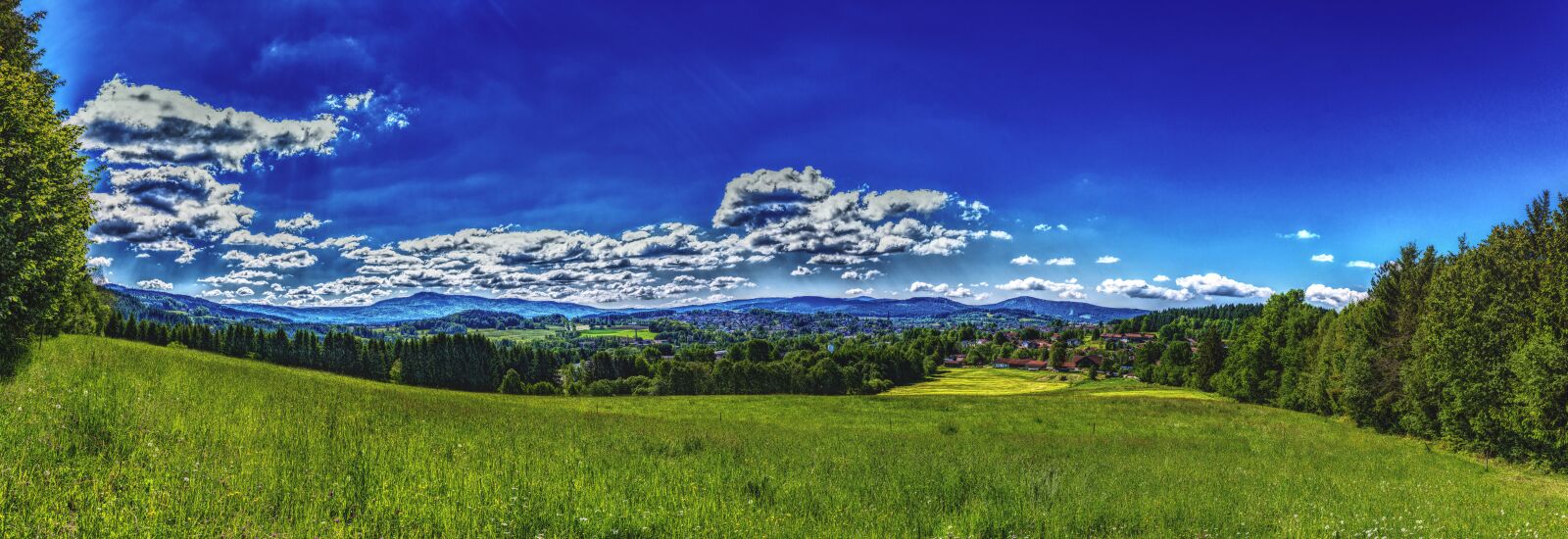 Sony a6300 + Sigma 30mm F2.8 EX DN sample photo. Panorama, bavarian forest, forest photography