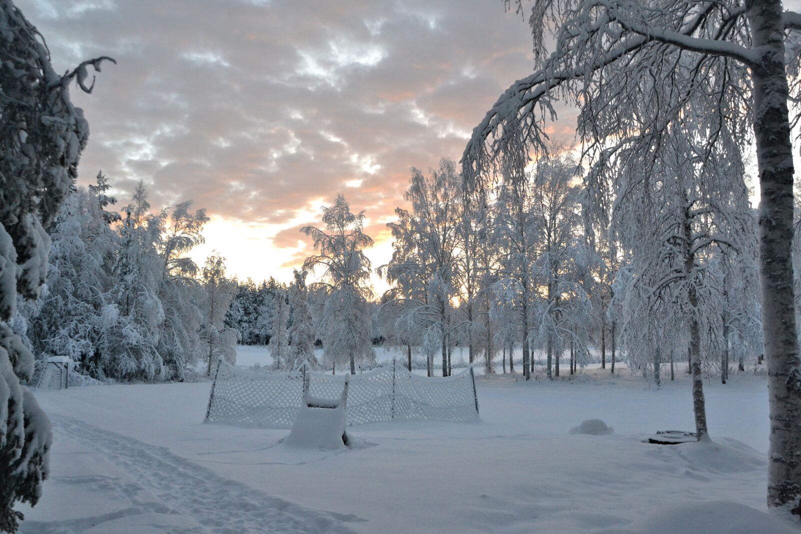 Nikon D3100 sample photo. Lapland, sweden, wintry photography