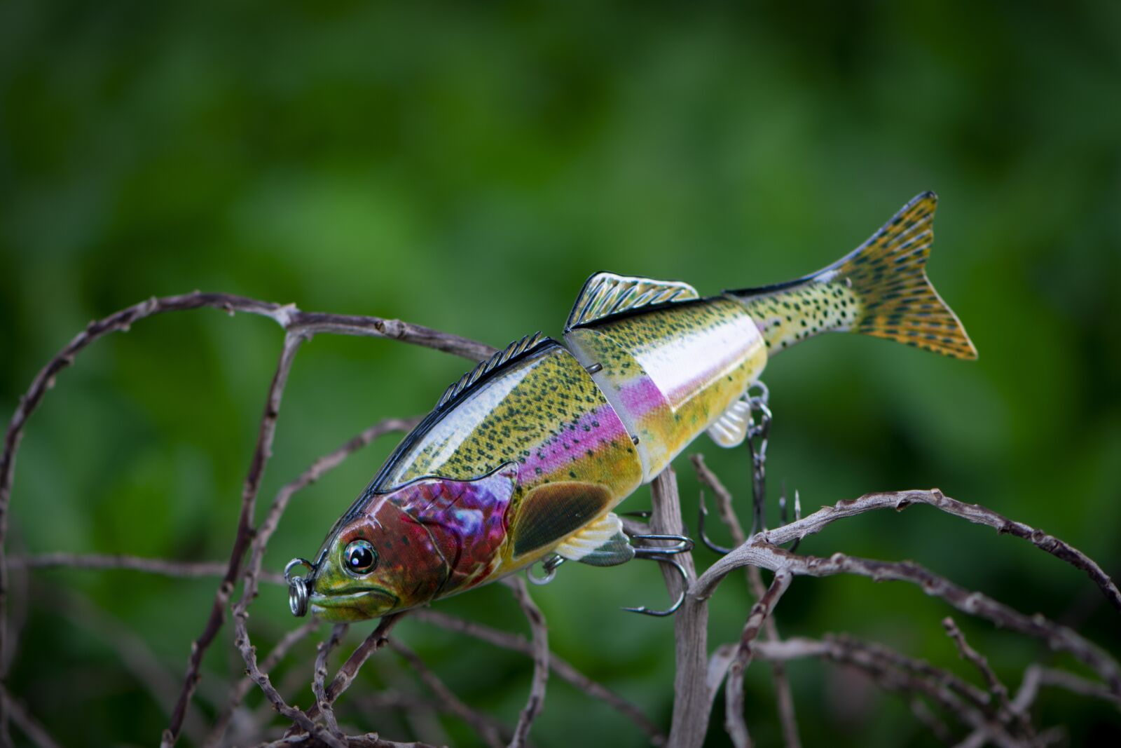 Nikon D3400 sample photo. Fishing, fishing lure, fish photography