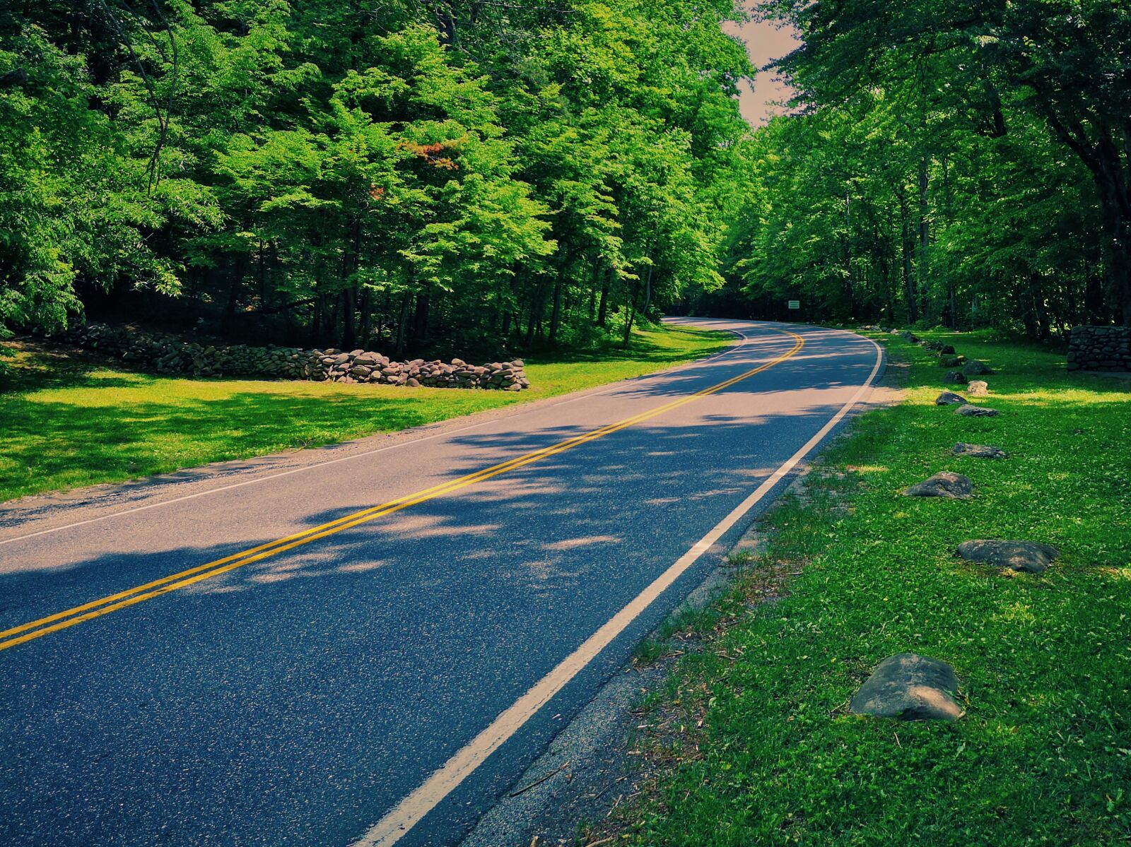 HUAWEI P20 sample photo. Forest road, lonely, curve photography