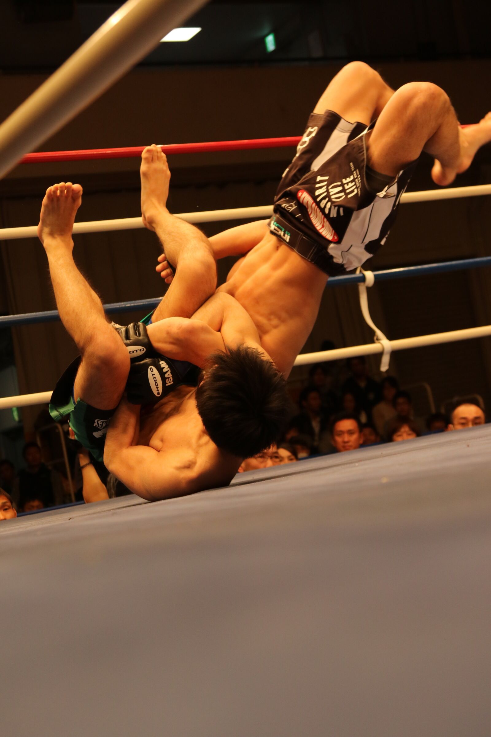 Canon EOS 7D Mark II sample photo. Mma, mixed martial arts photography