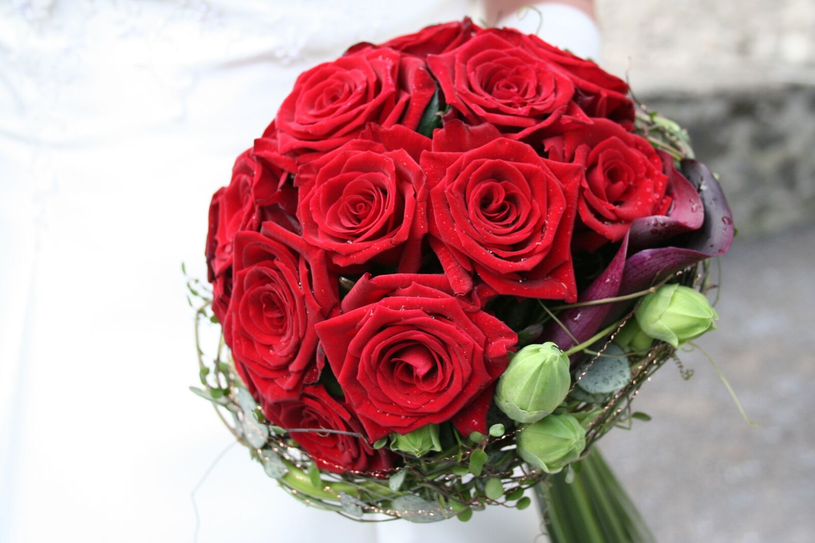 Canon EOS 350D (EOS Digital Rebel XT / EOS Kiss Digital N) sample photo. Rose, flowers, strauss photography