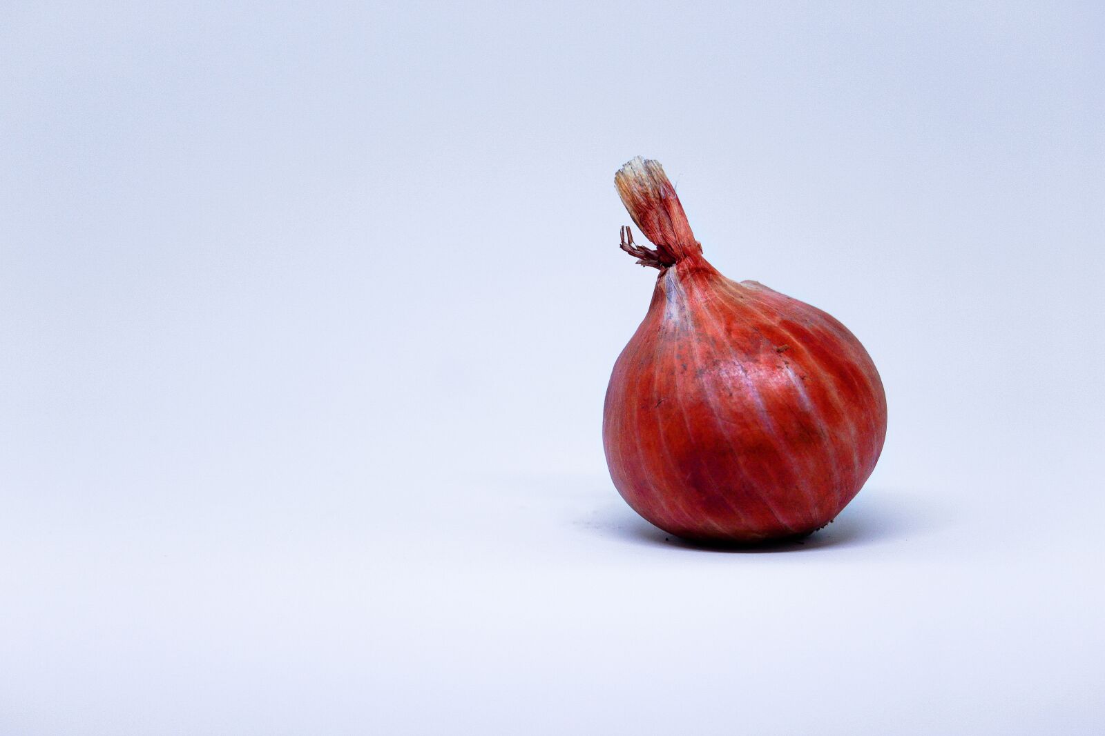 Canon EF-S 55-250mm F4-5.6 IS STM sample photo. Garlic, white, background photography