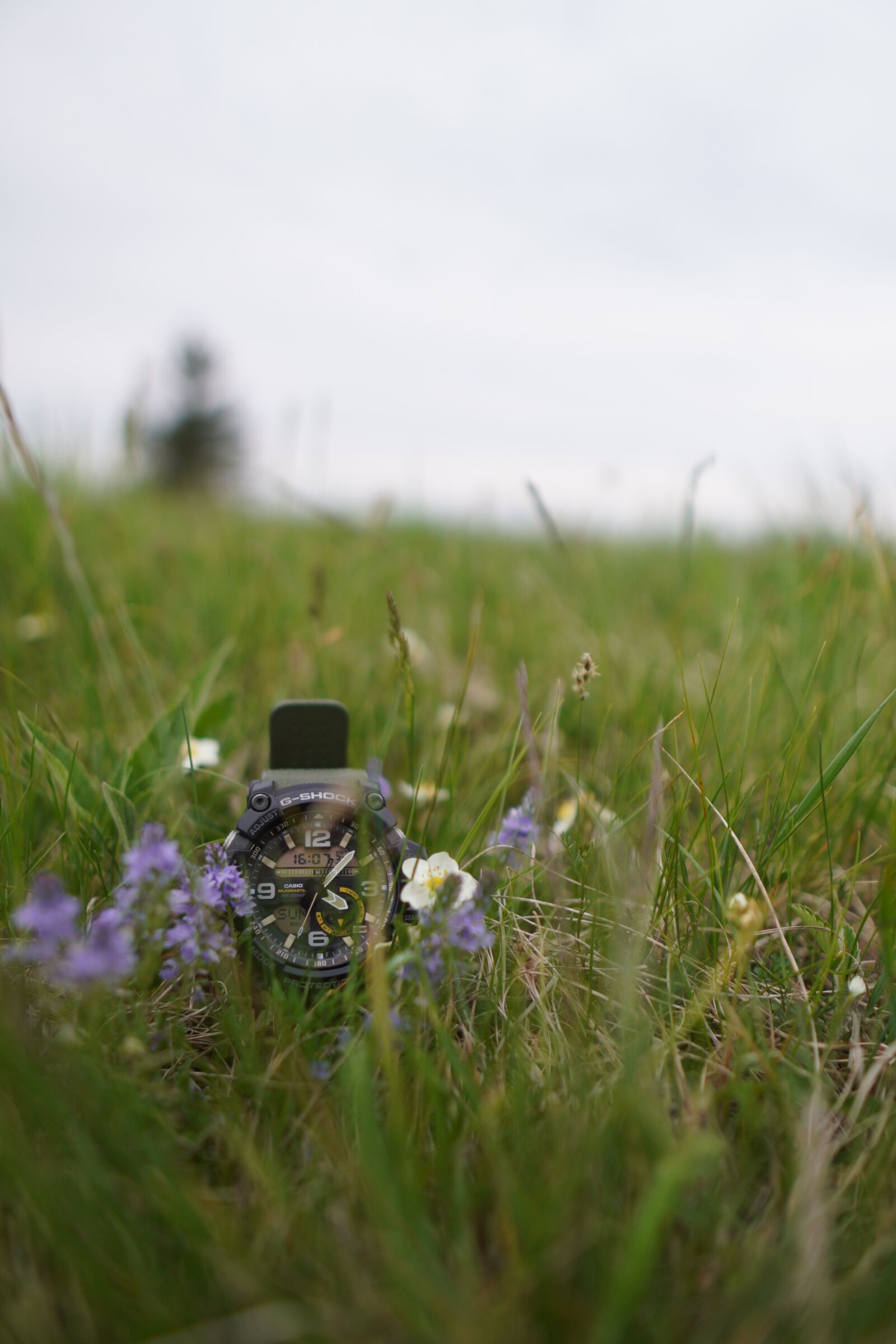 Sony a6400 + Sigma 16mm F1.4 DC DN | C sample photo. Casio, hours, a watch photography