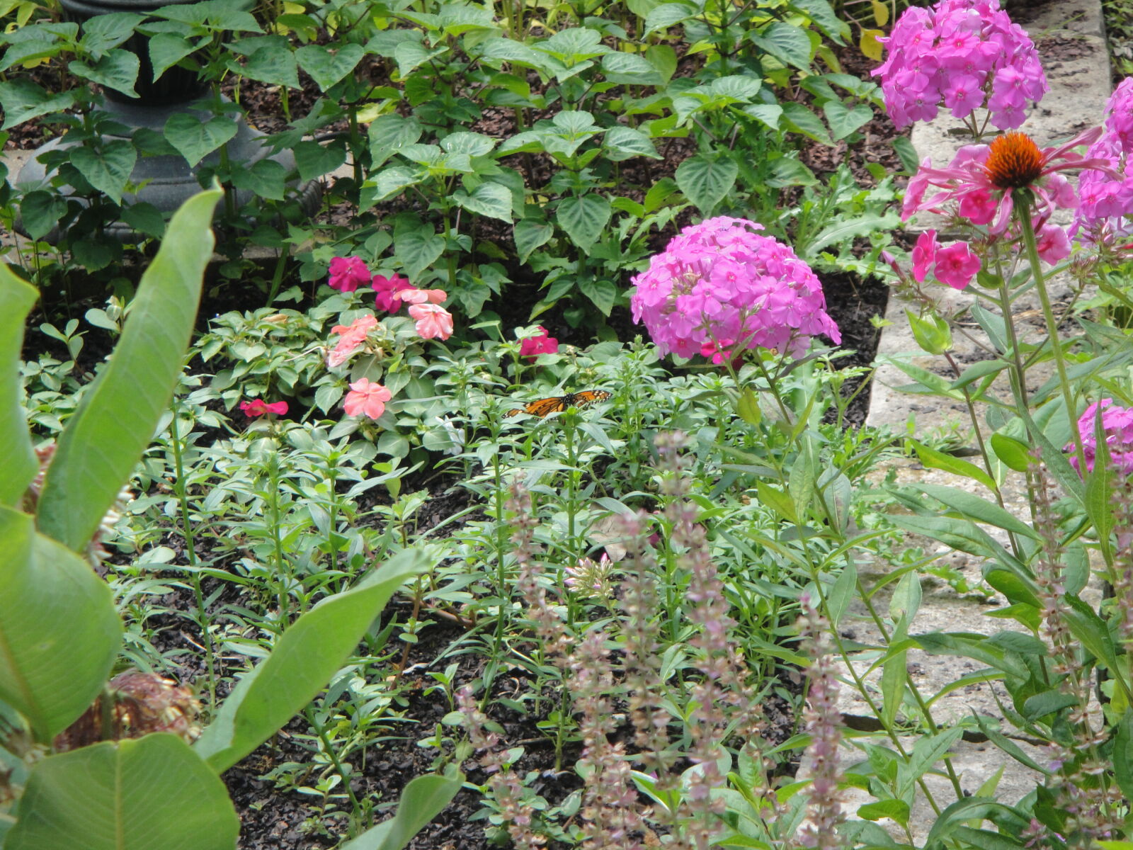 Sony DSC-T90 sample photo