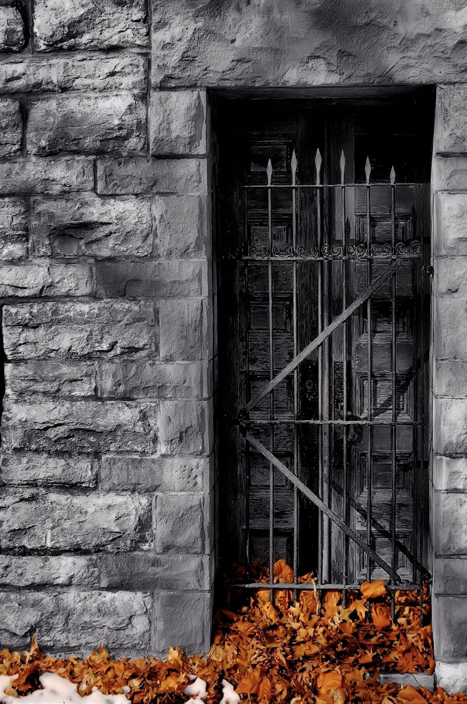 Canon PowerShot SX40 HS sample photo. Iron, wrought, wall photography