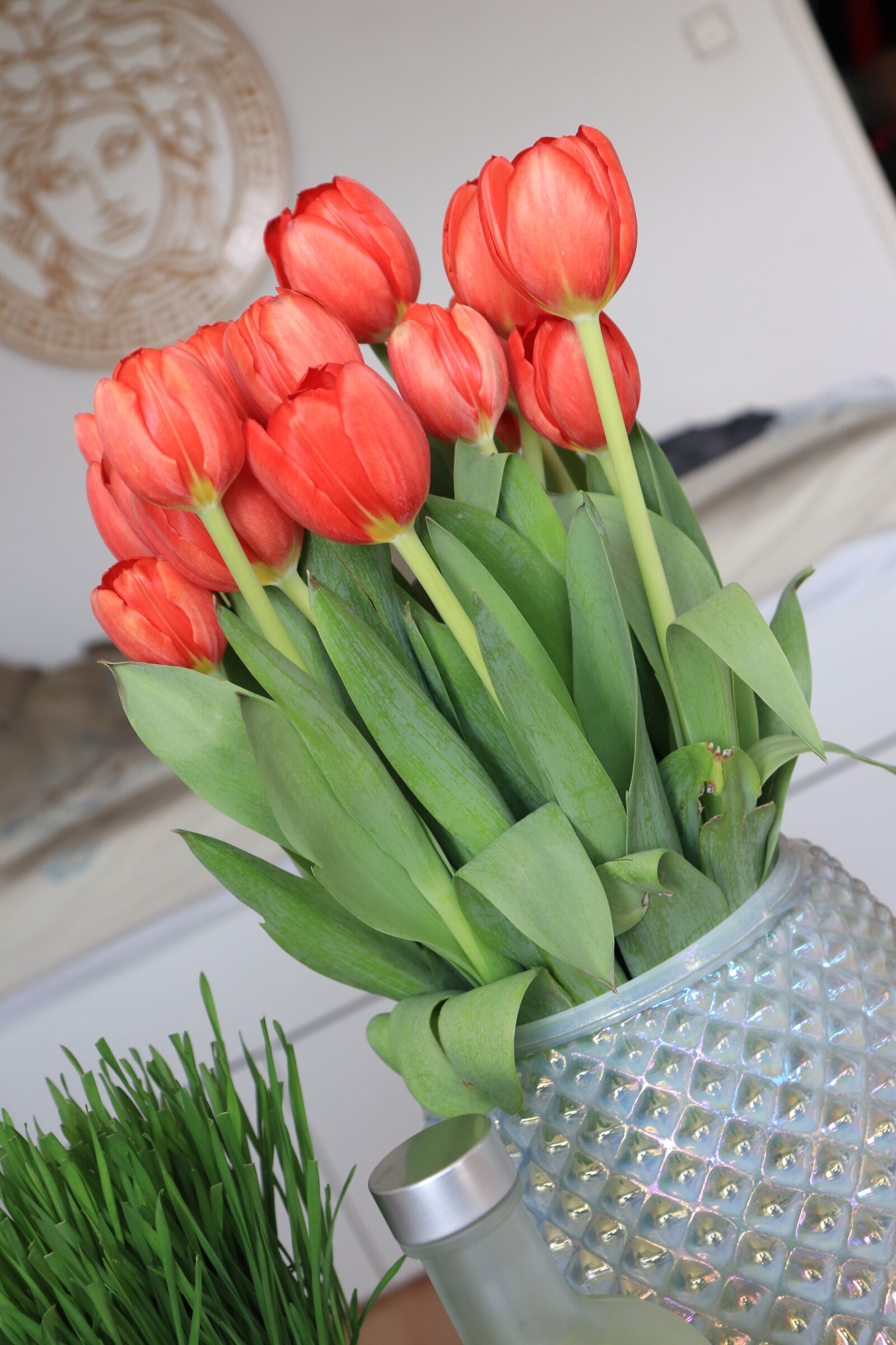 Canon EOS 200D (EOS Rebel SL2 / EOS Kiss X9) sample photo. Flower, apartment, house photography