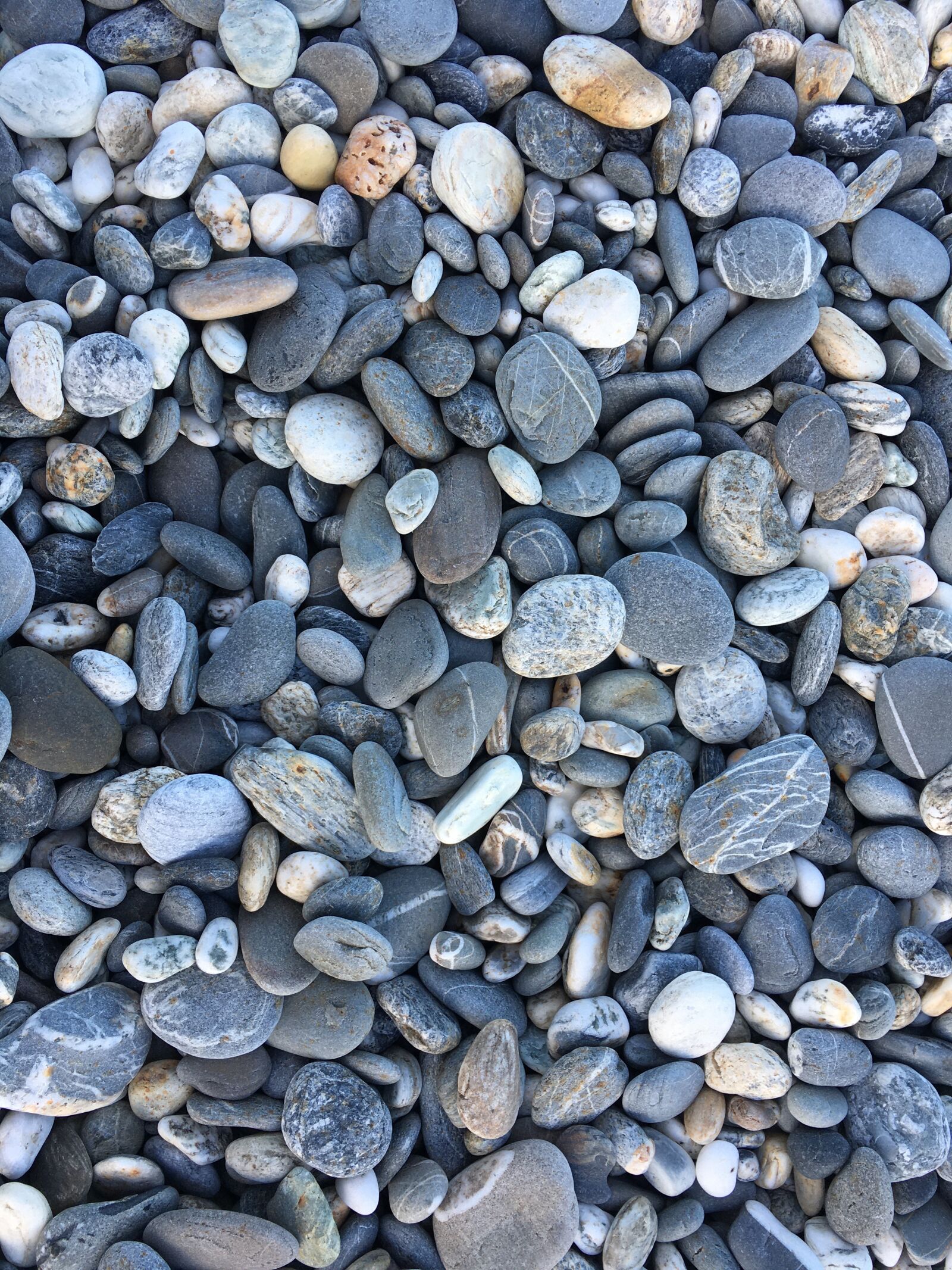 iPhone 6s Plus back camera 4.15mm f/2.2 sample photo. Stone, rock, beach photography