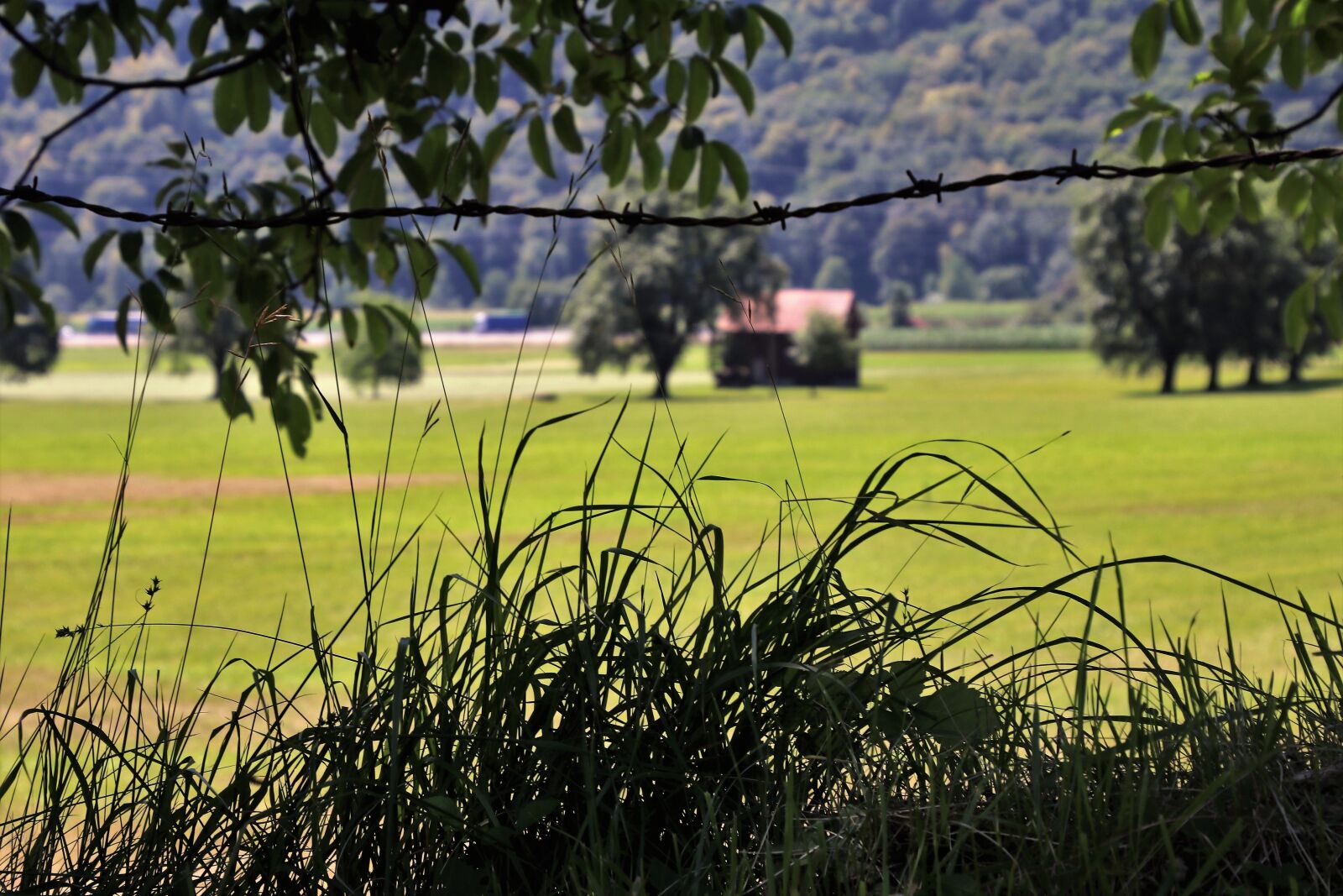 Canon EOS 80D sample photo. Fencing of pastures, meadow photography