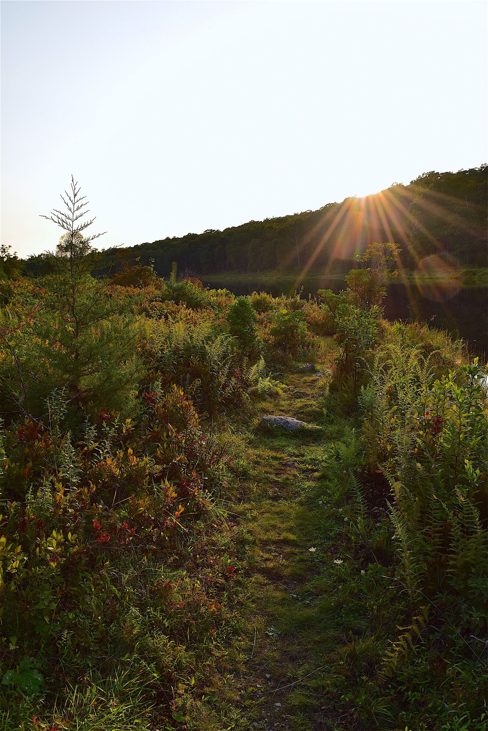 Nikon D3300 sample photo. Trail, park, outdoor photography