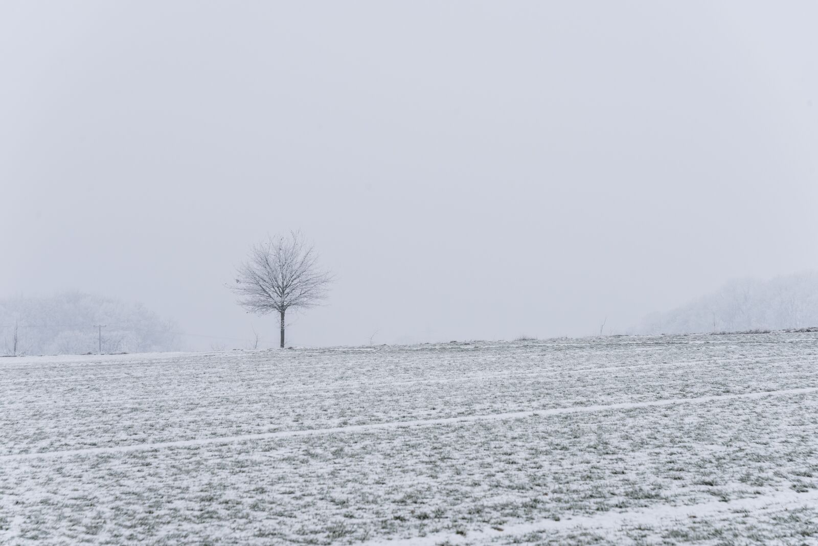 Nikon D810 sample photo. Winter's day, cold, winter photography