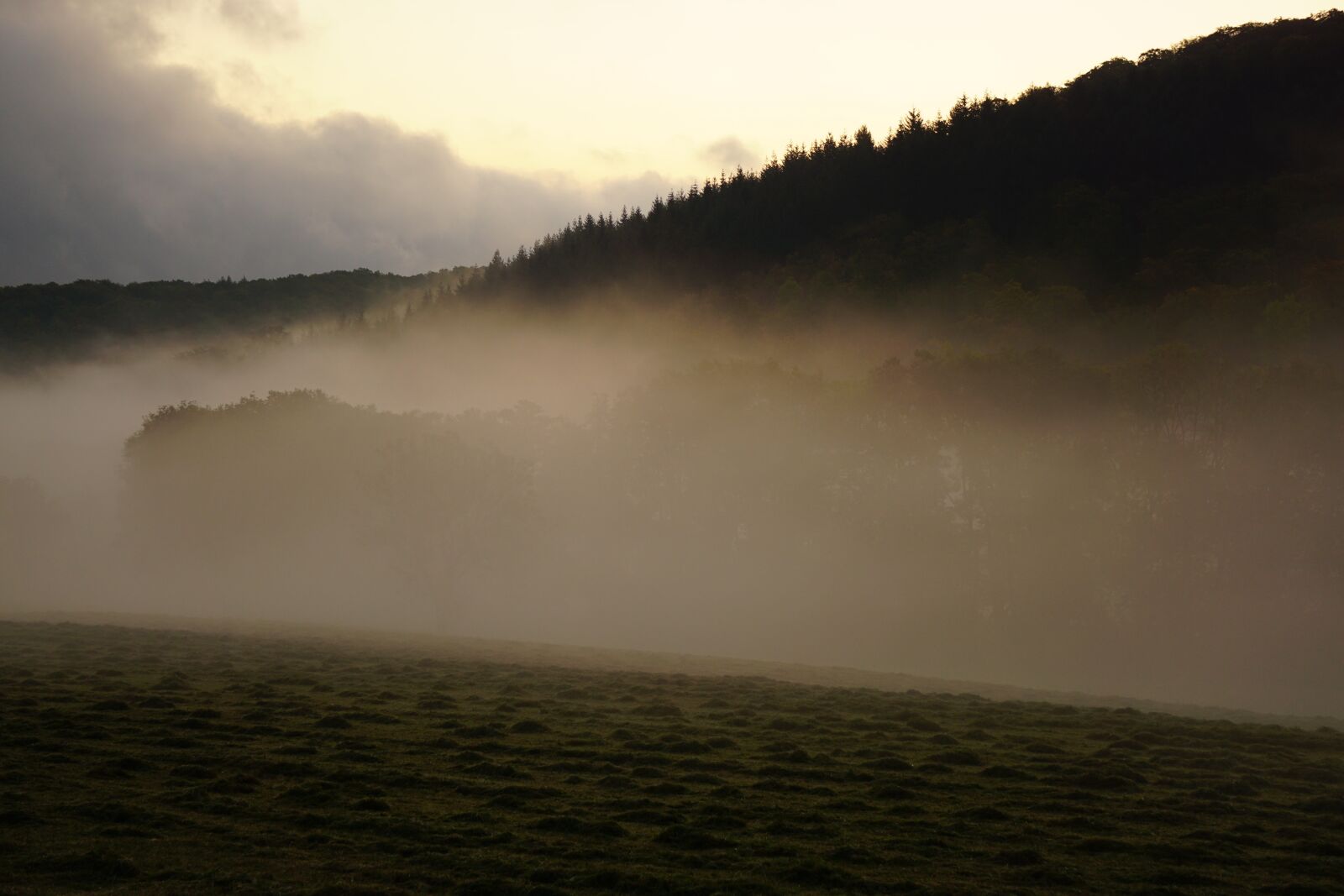 Sony E 55-210mm F4.5-6.3 OSS sample photo. Fog, landscape, nature photography