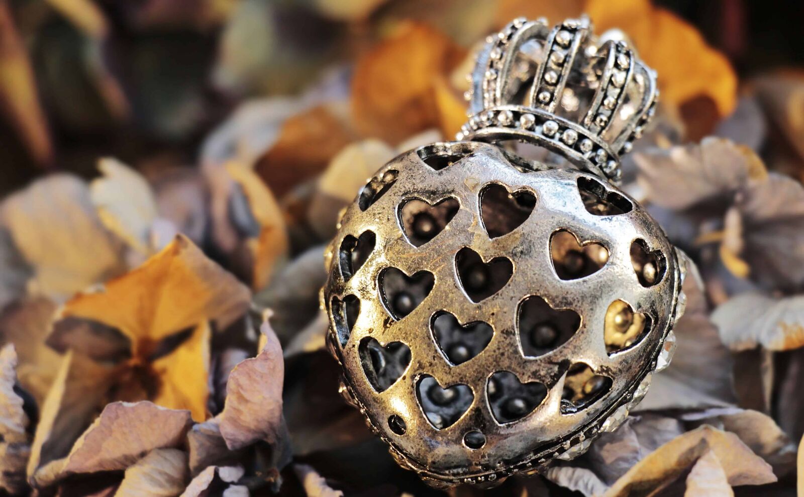 Canon EOS 100D (EOS Rebel SL1 / EOS Kiss X7) sample photo. Metal, crown, nature, jewelry photography