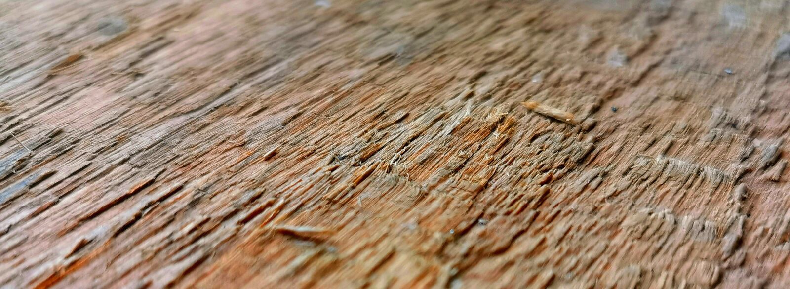 HUAWEI P30 Pro sample photo. Wood, texture, structure photography