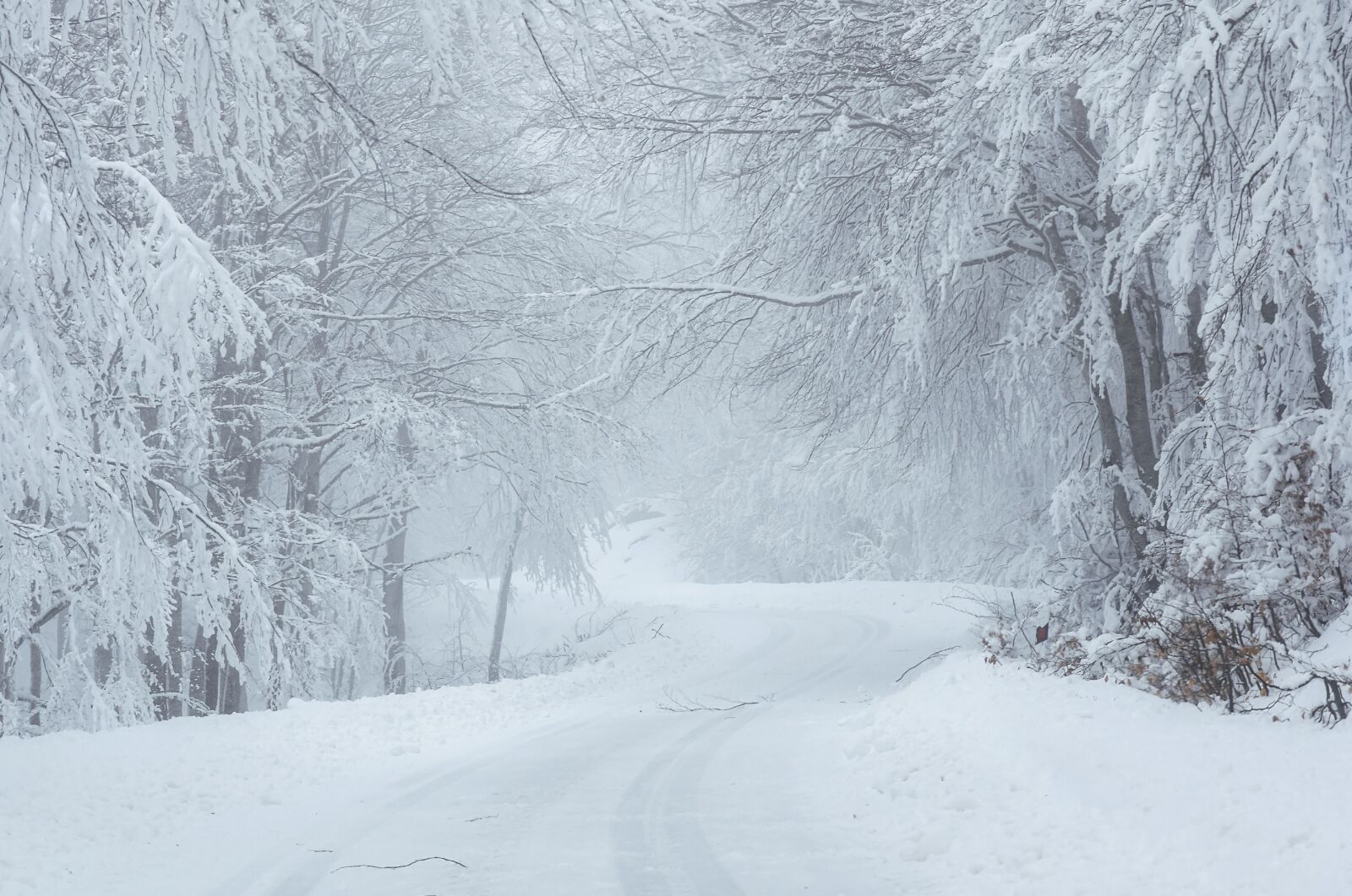 Nikon D5300 sample photo. Winter, snow, cold photography