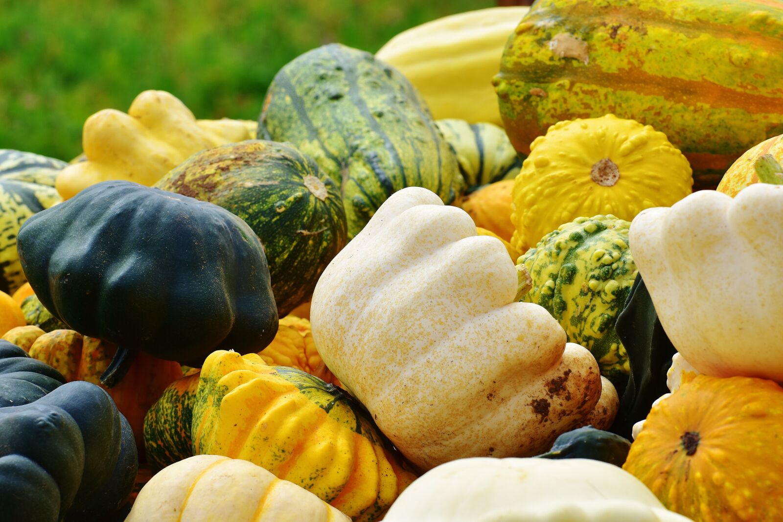 Nikon D7200 sample photo. Pumpkins, autumn, autumn decoration photography