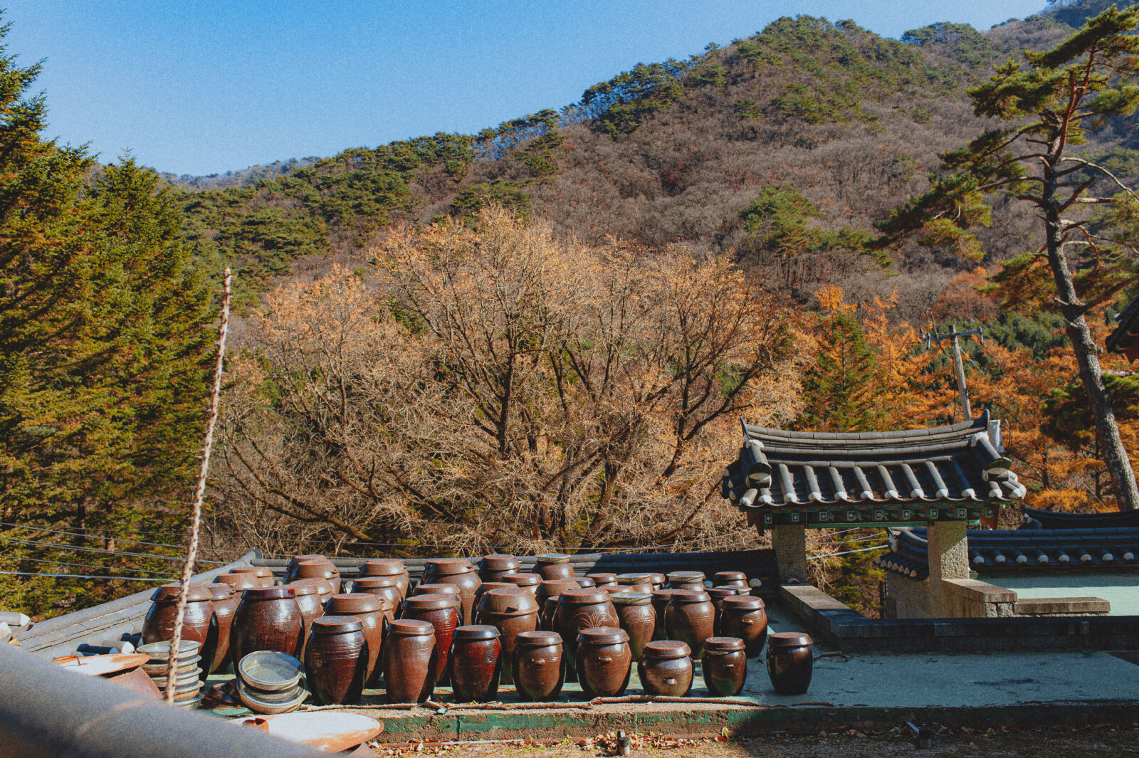 Nikon D700 sample photo