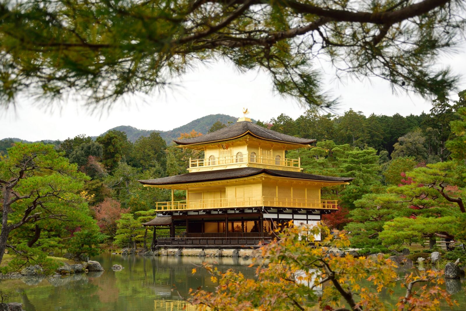 Nikon D5300 sample photo. Kinkaku-ji, temple, kyoto photography