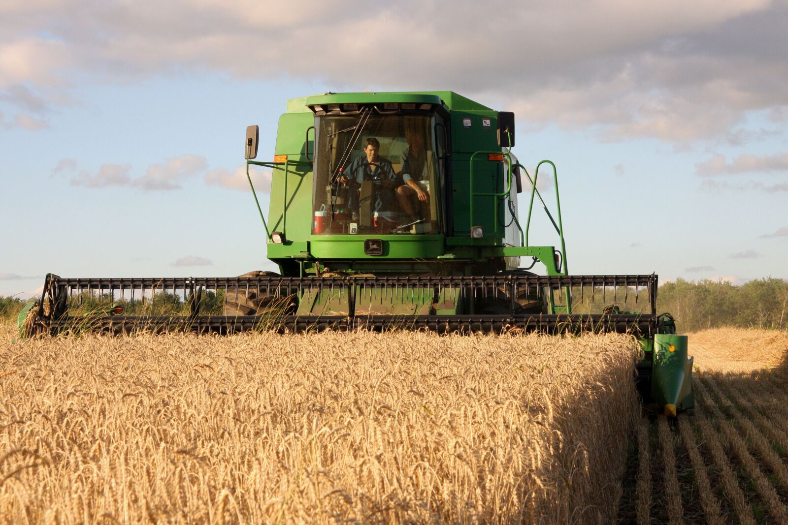 Canon EOS 40D sample photo. Wheat, harvest, farming photography