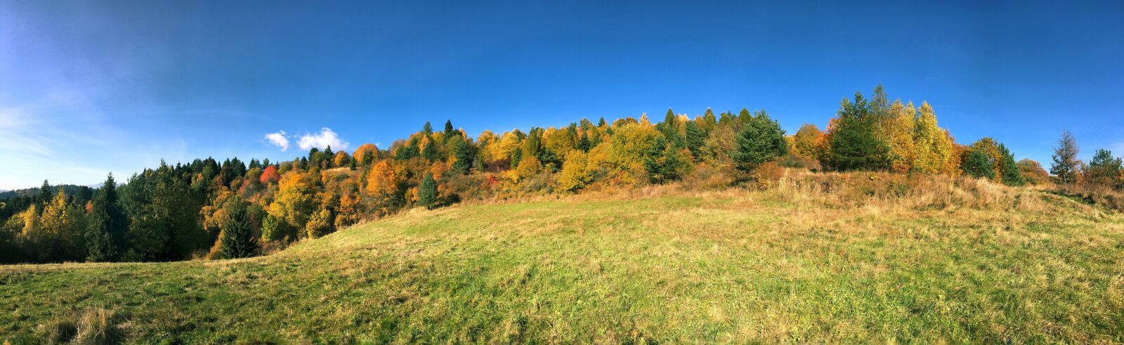 iPhone 6s back camera 4.15mm f/2.2 sample photo. Autumn, autumn, colours, blue photography