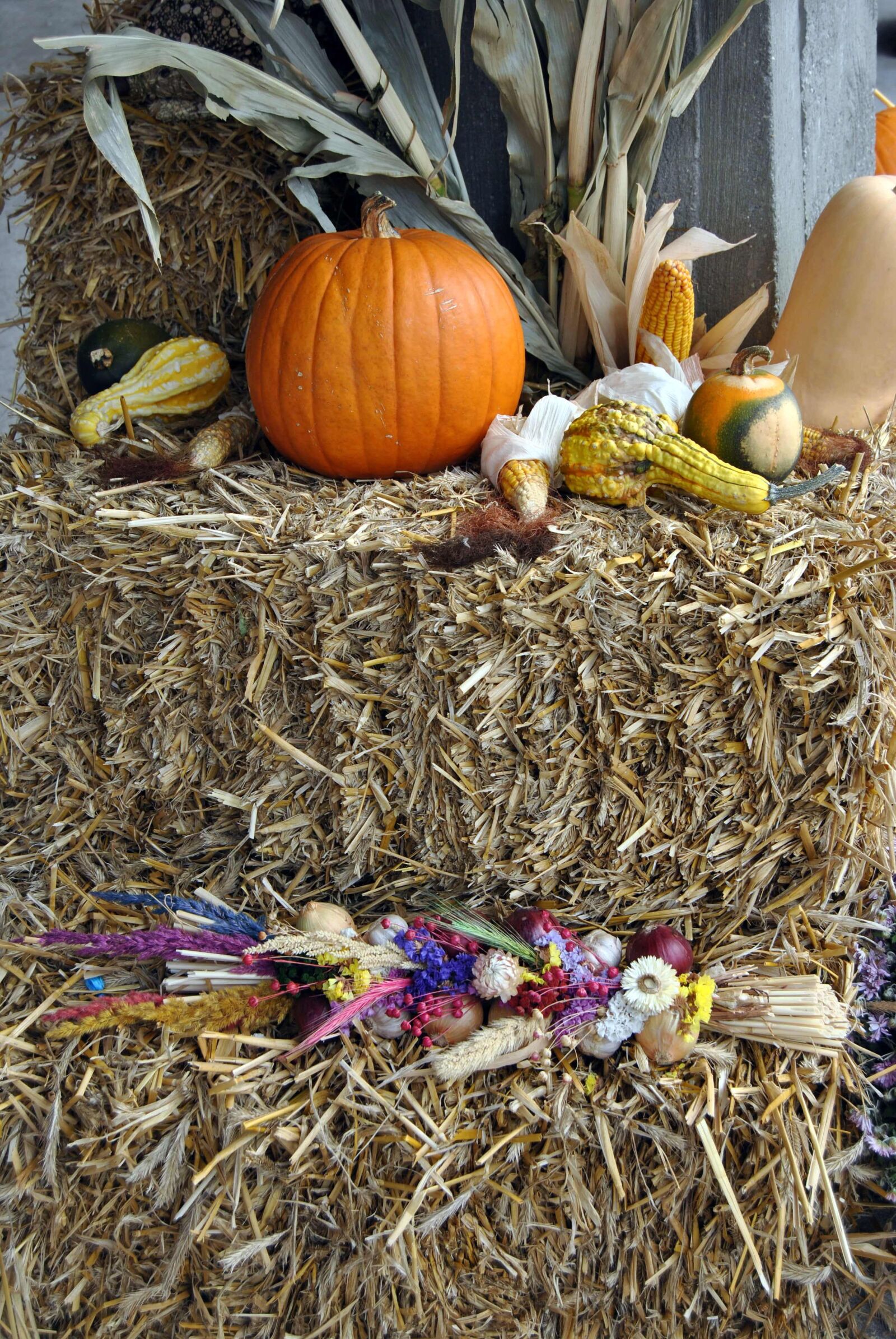 Nikon D3000 sample photo. Autumn, straw, harvest photography