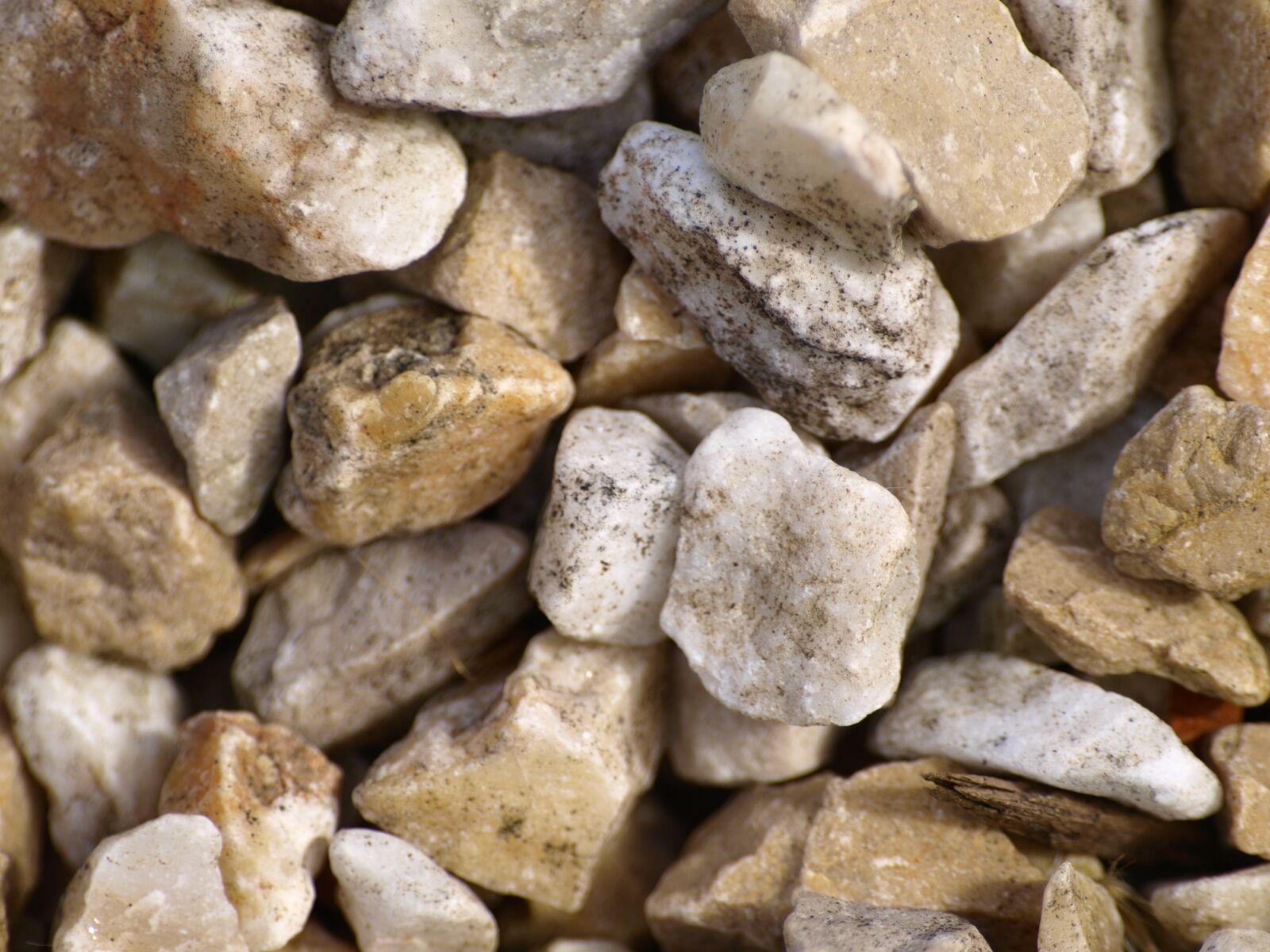 Olympus E-510 (EVOLT E-510) sample photo. Pebbles, stones, steinig photography