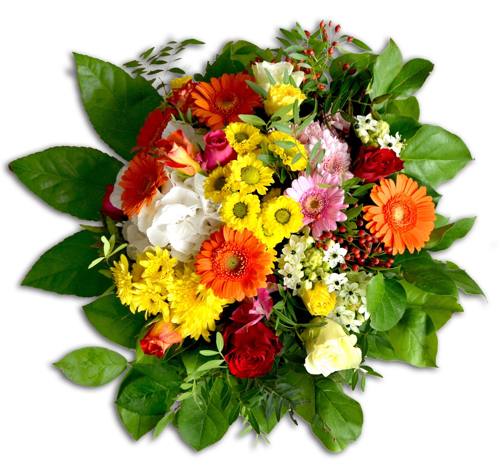 Nikon D5100 sample photo. Bouquet, bound, colorful photography