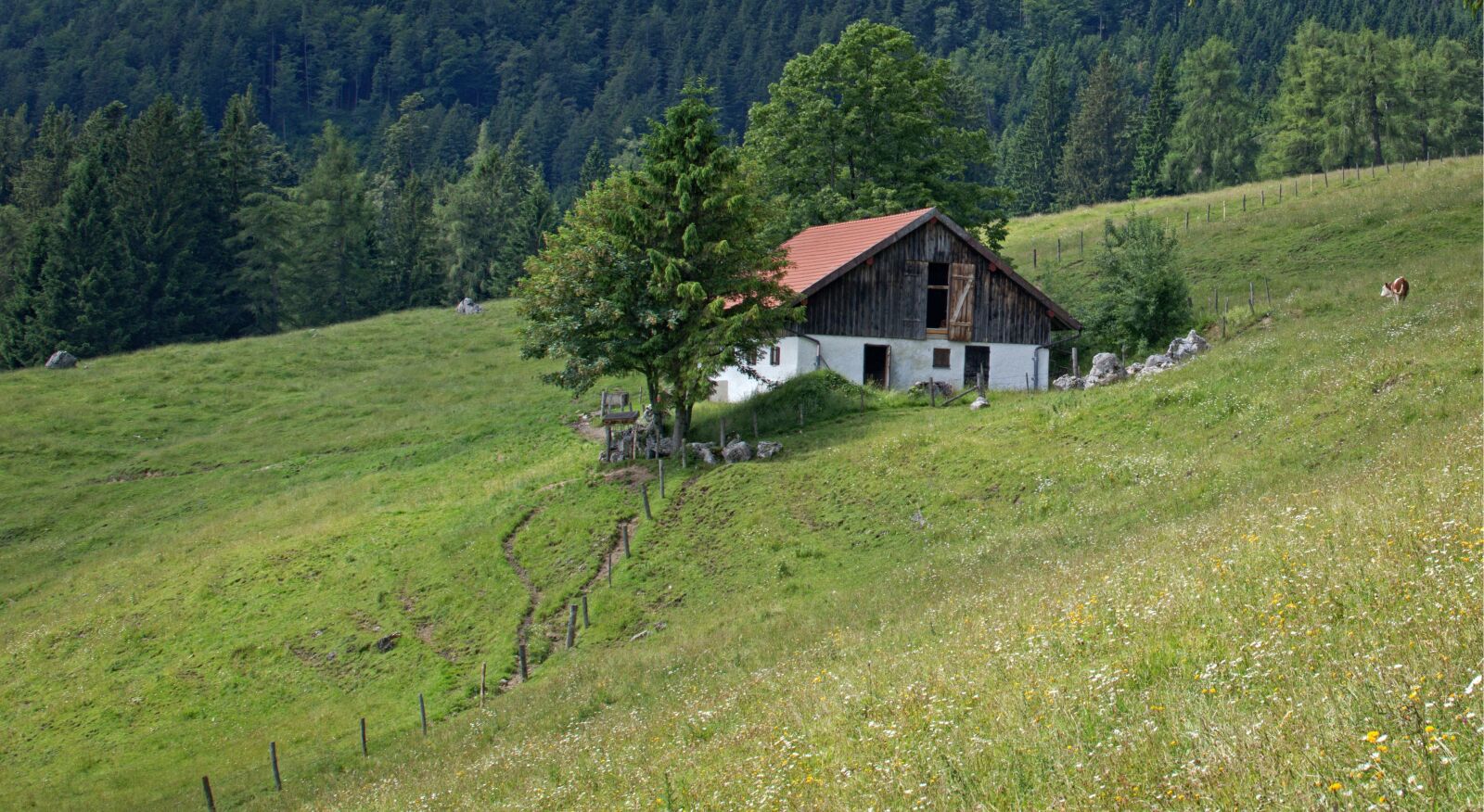Nikon D7100 sample photo. Landscape, nature, bavaria photography