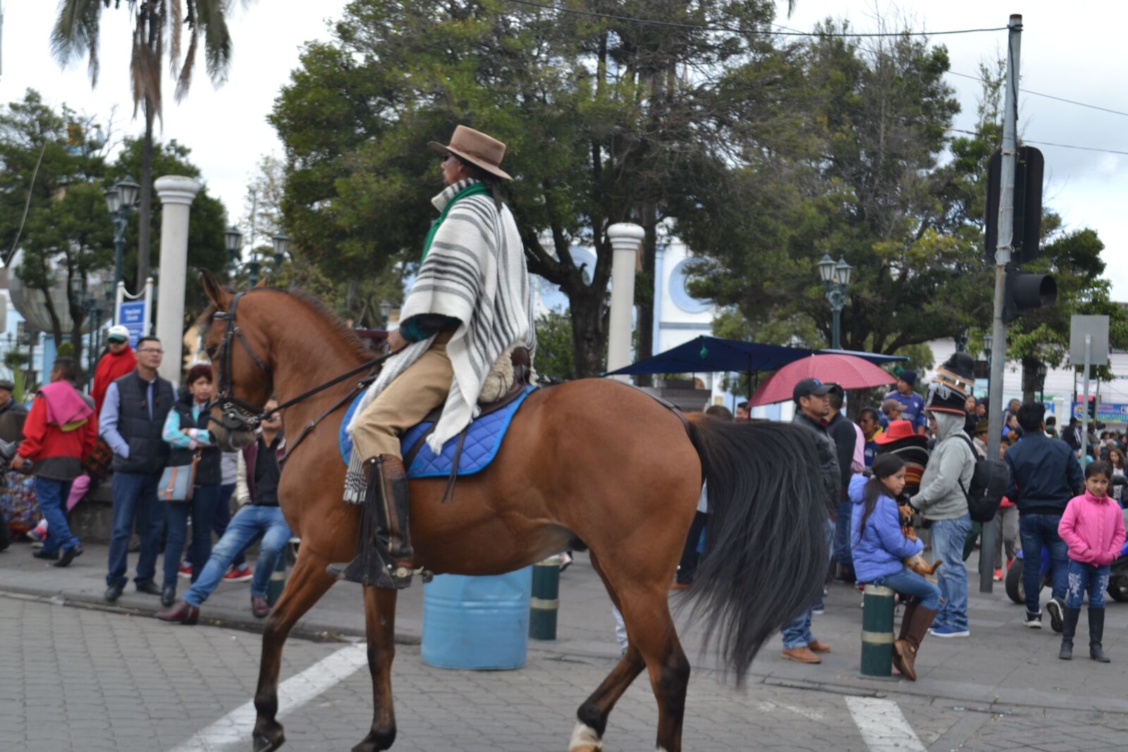 Nikon D3100 sample photo. Chagra, butler, rider photography