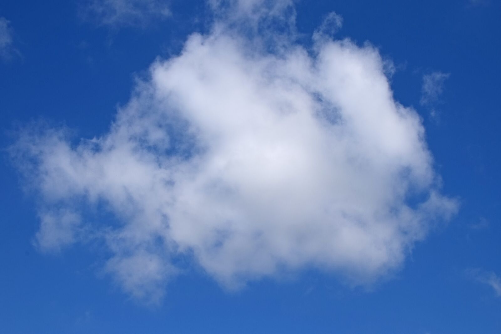 Nikon D3300 sample photo. Fanciful clouds, rabbit cloudscape photography