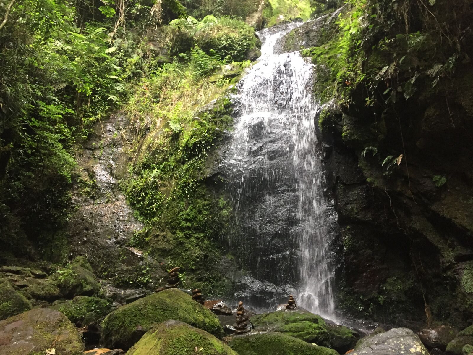 iPhone 6 back camera 4.15mm f/2.2 sample photo. Water, nature, wet photography