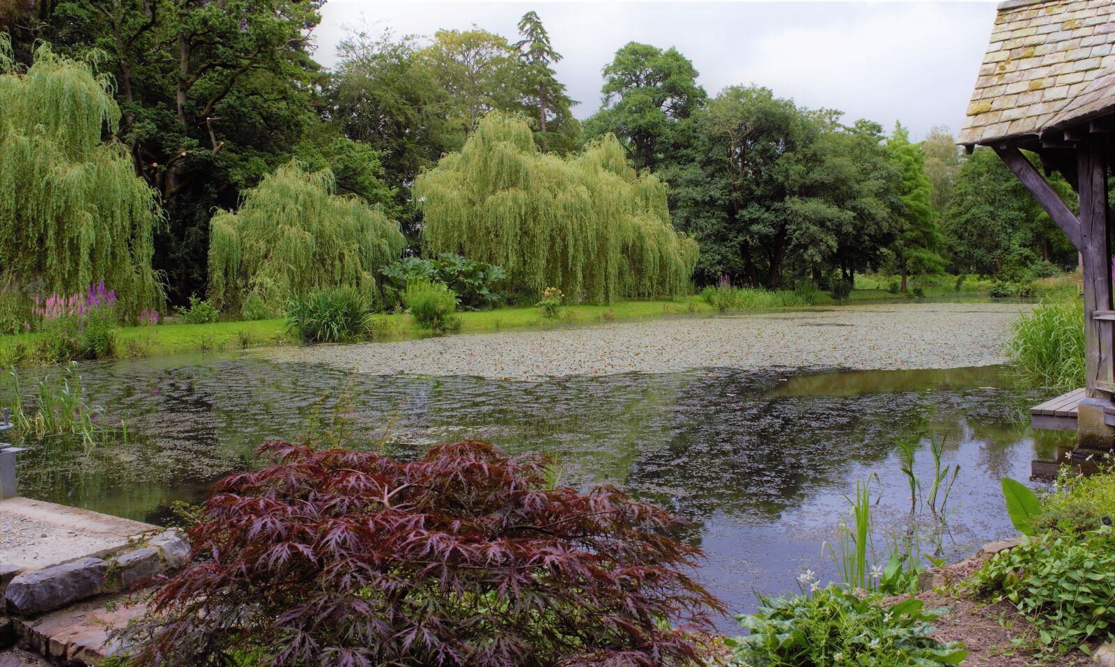 Nikon D3300 sample photo. Wales, gardens, lake photography