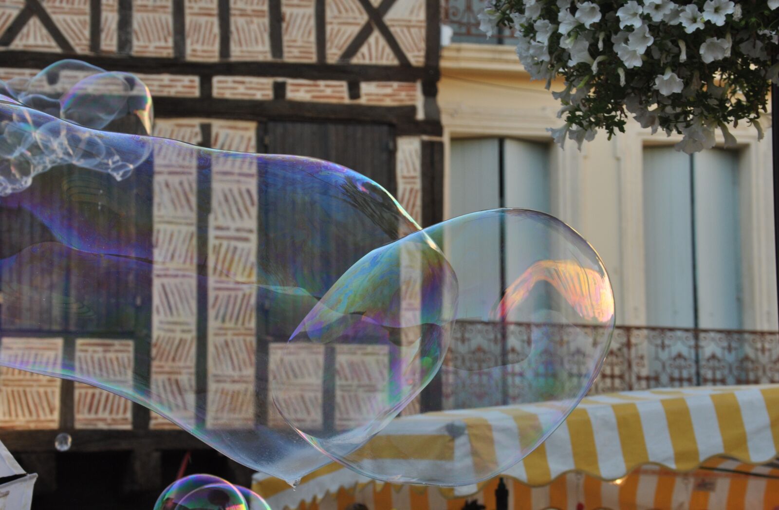 Nikon D90 sample photo. Bubble giant, village, summer photography