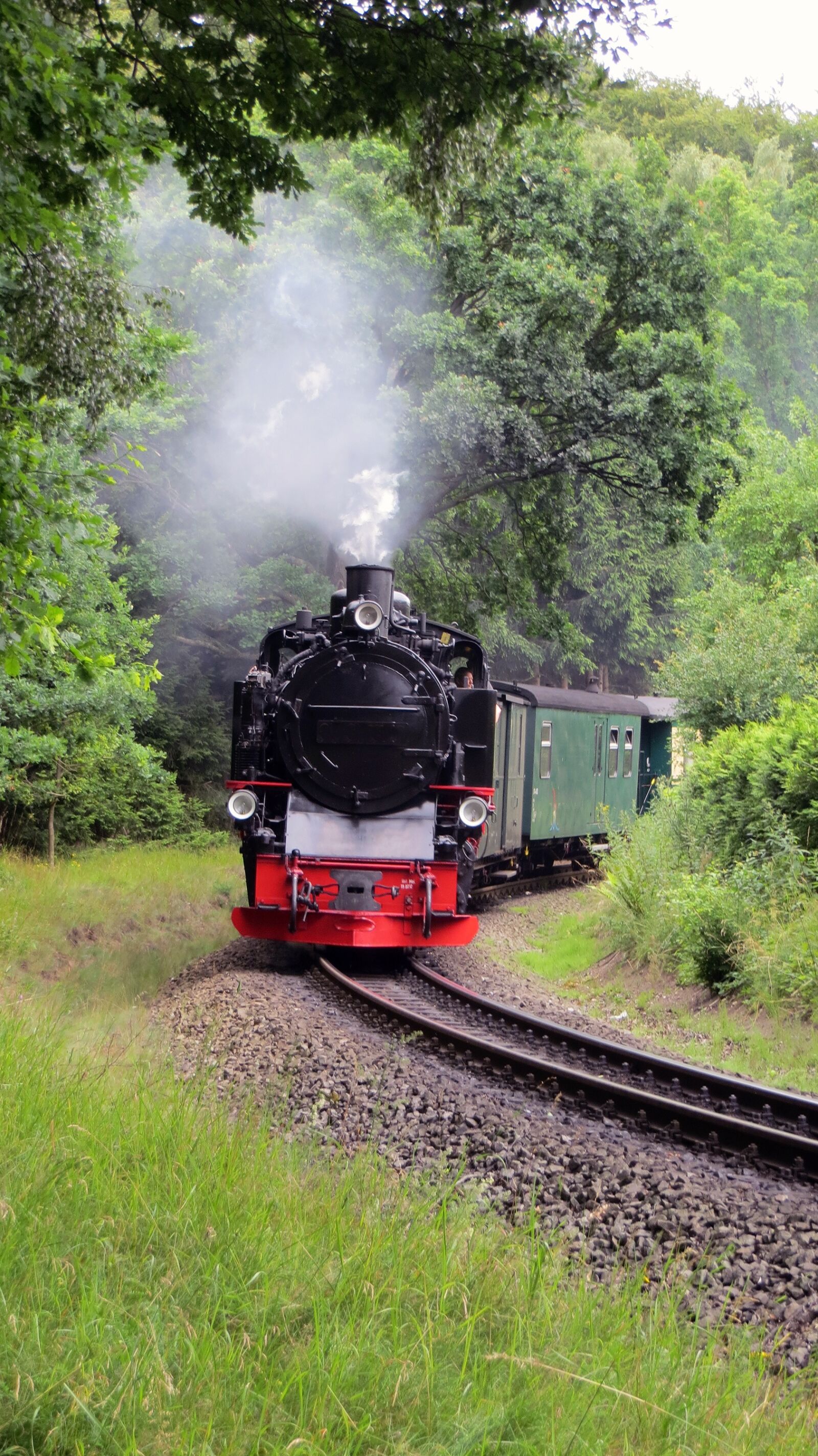 Canon PowerShot SX240 HS sample photo. Rasender roland, railway, narrow photography