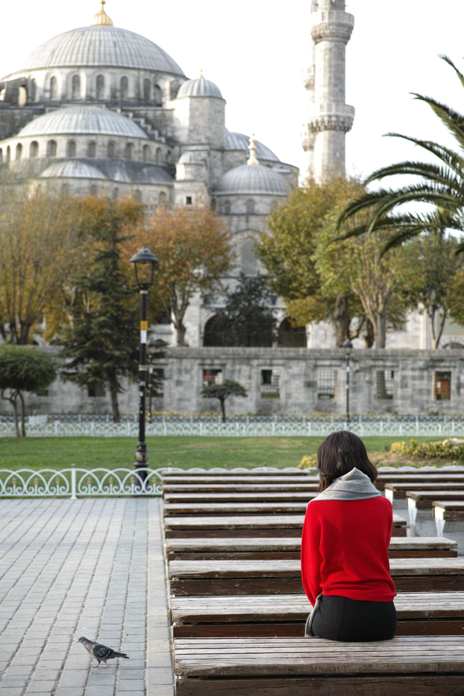 Sigma DP3 Merrill sample photo. Istanbul, cami, turkey photography