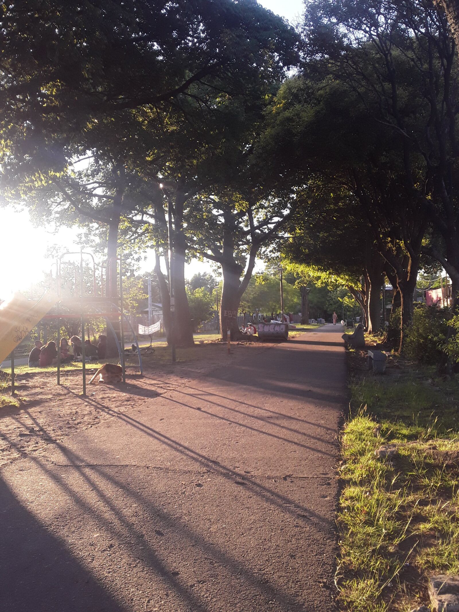 Samsung Galaxy J2 Core sample photo. Light, tree, forest photography