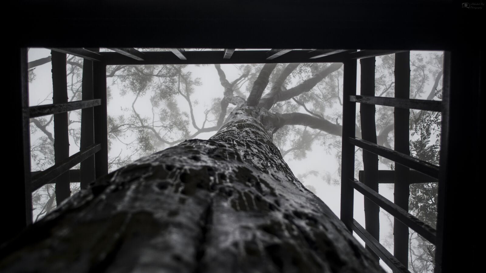 Nikon D5200 sample photo. Abstract, black and white photography