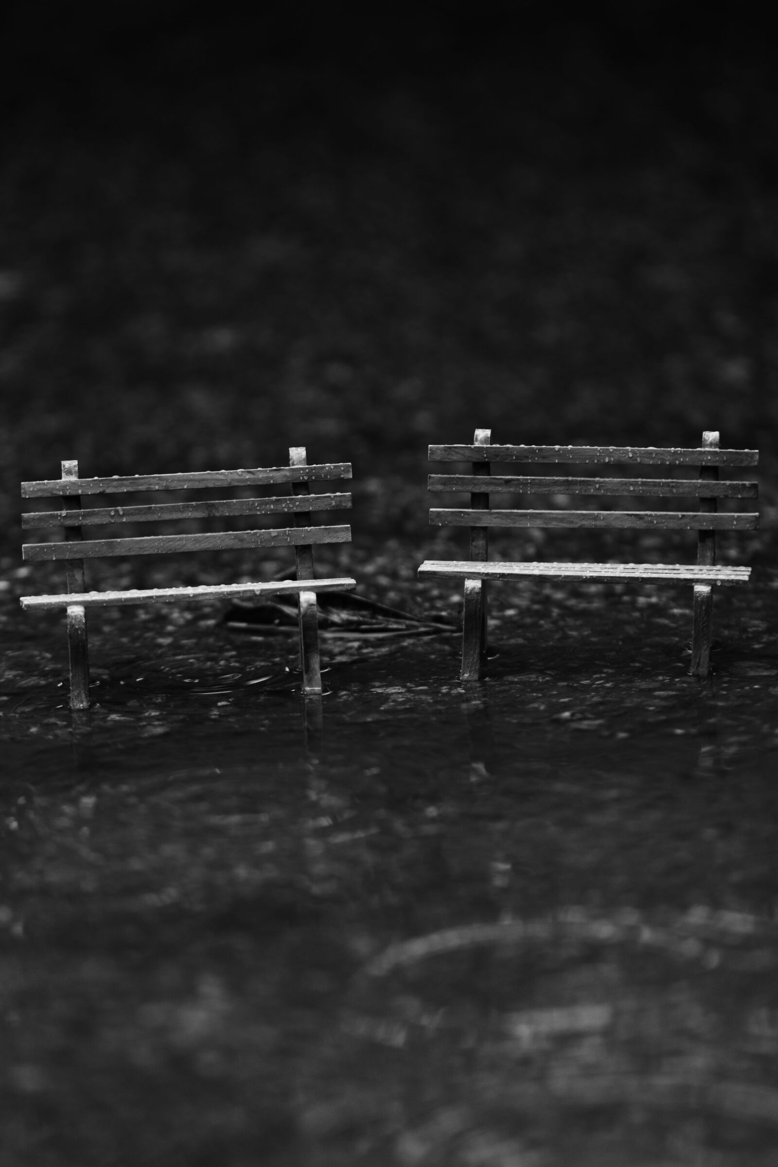 Canon EOS 7D Mark II sample photo. Bench, sitting, park photography