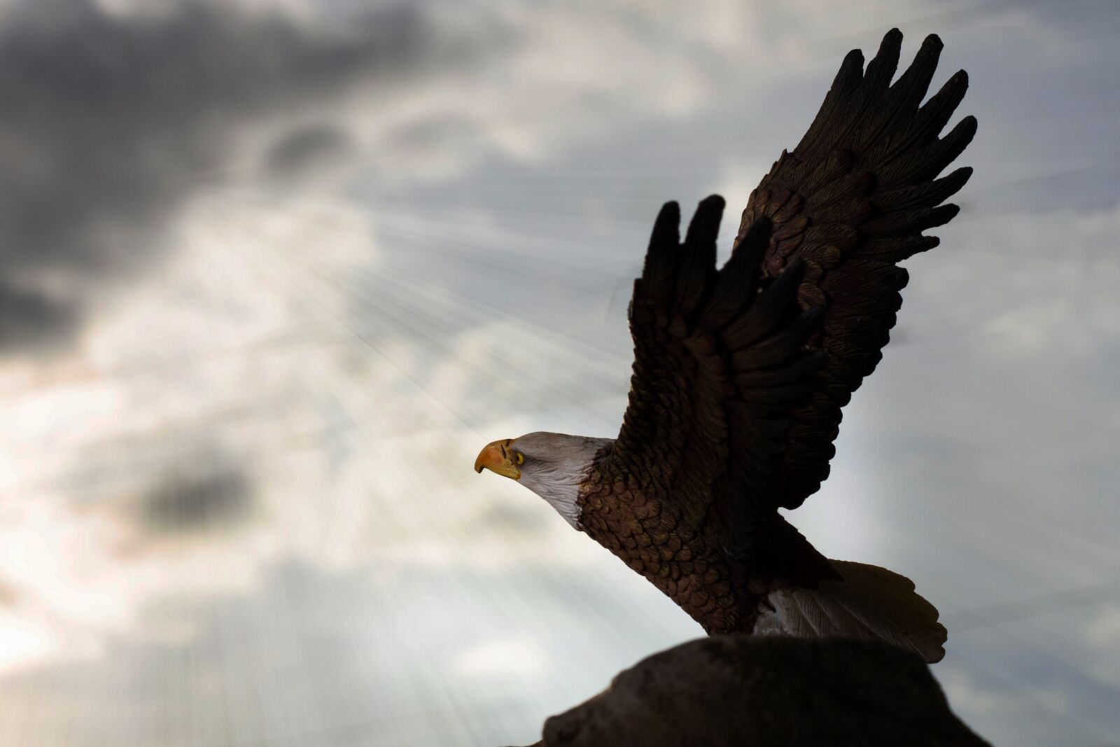 Canon EOS 7D sample photo. Adler, artwork, carving photography