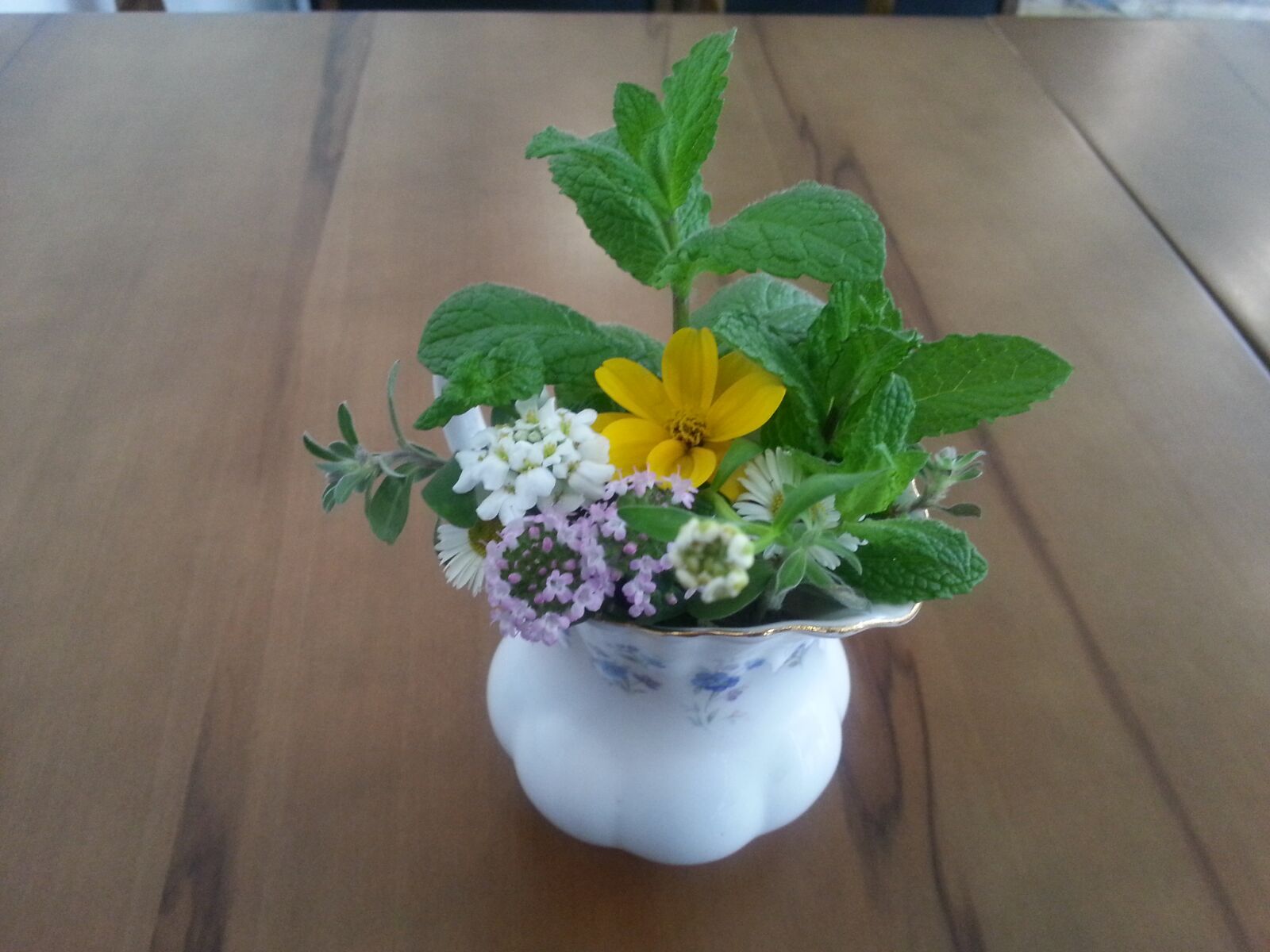 Samsung Galaxy S3 sample photo. Flowers, hub, flower photography