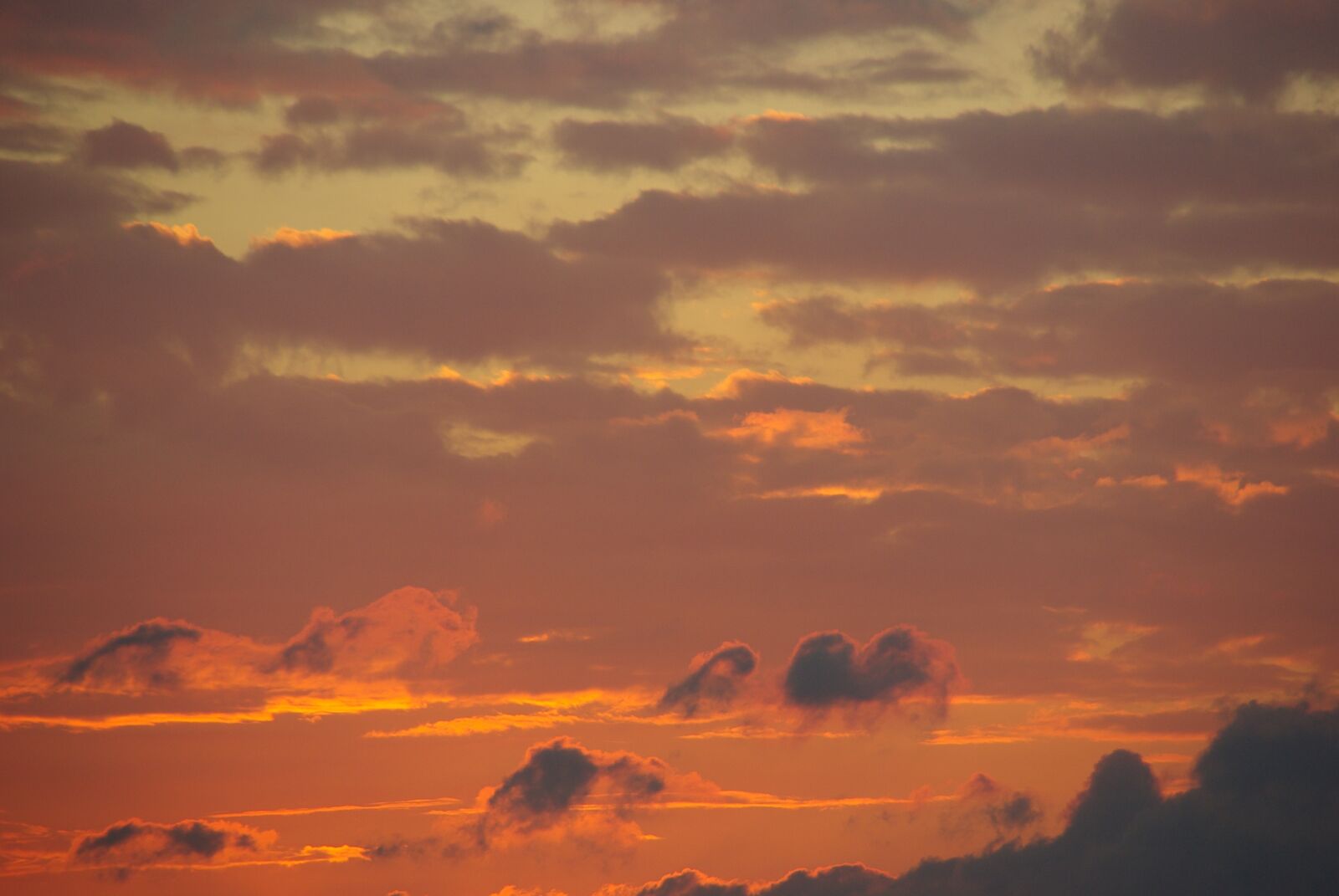 Pentax K10D sample photo. Sunset, netherlands, ameland photography